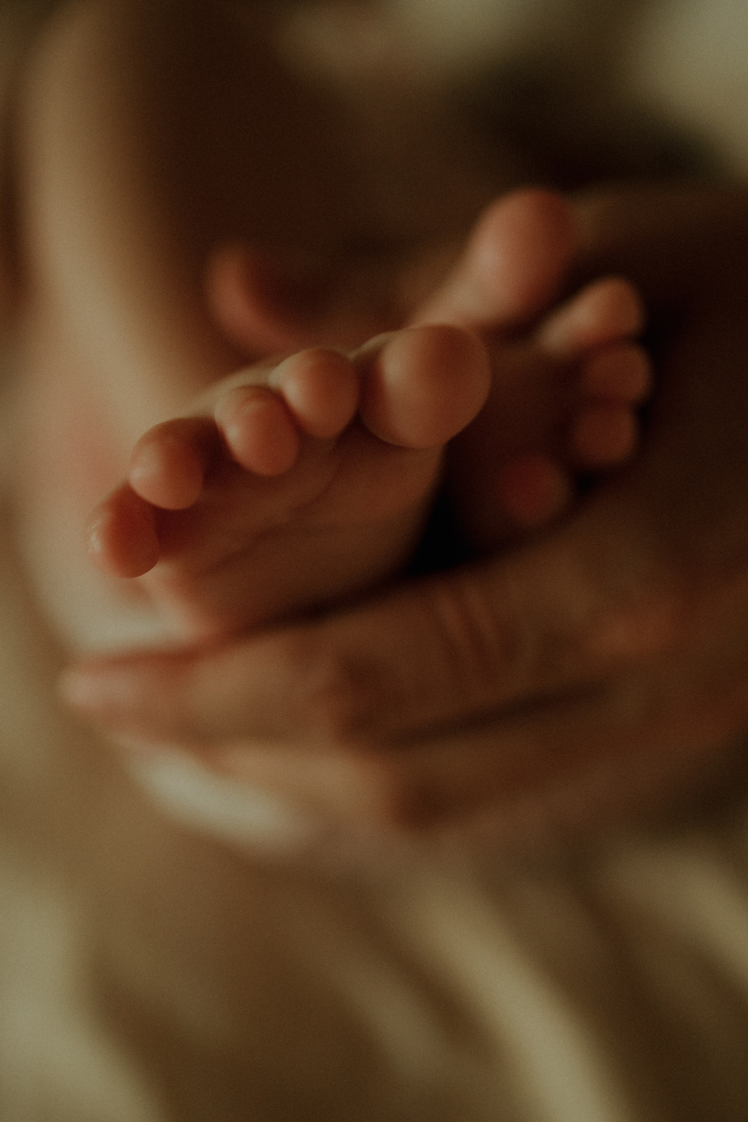 Семейный фотограф, фотограф новорожденных в Москве, Анастасия Федяева