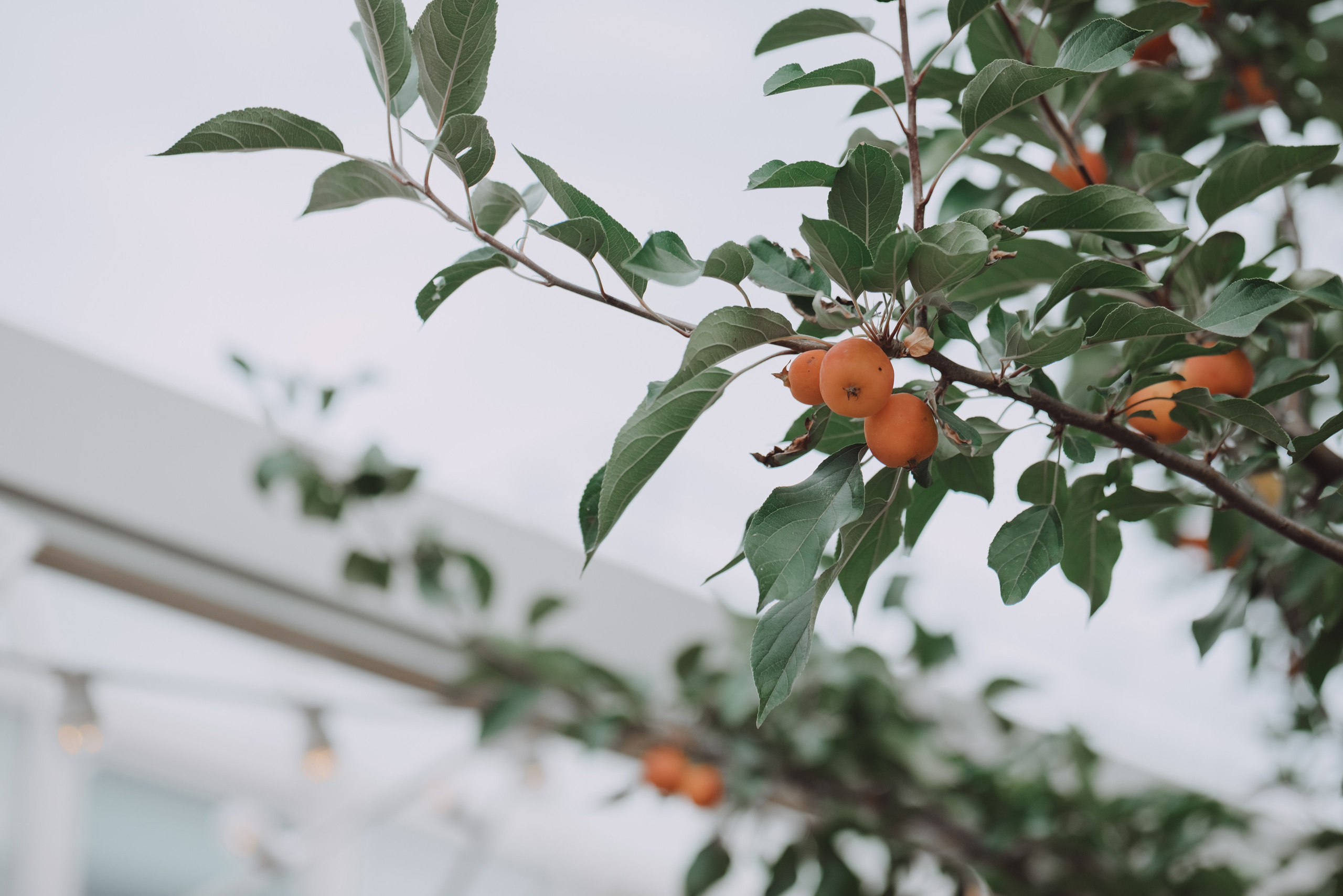Полина и Павел. Семейный и детский фотограф в Туле
