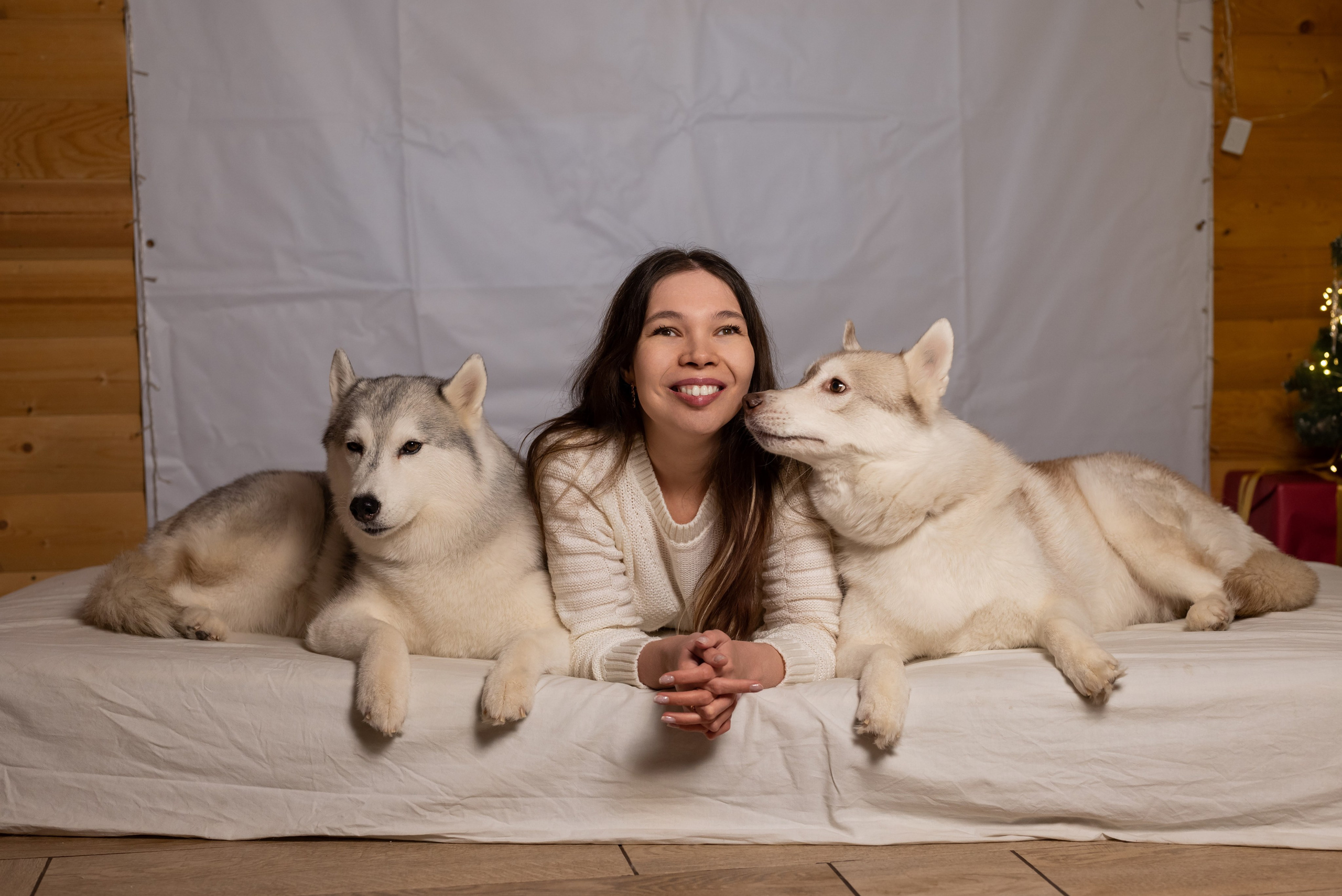 Фотопроект с хаски в частном доме. Фотограф в городе Салават