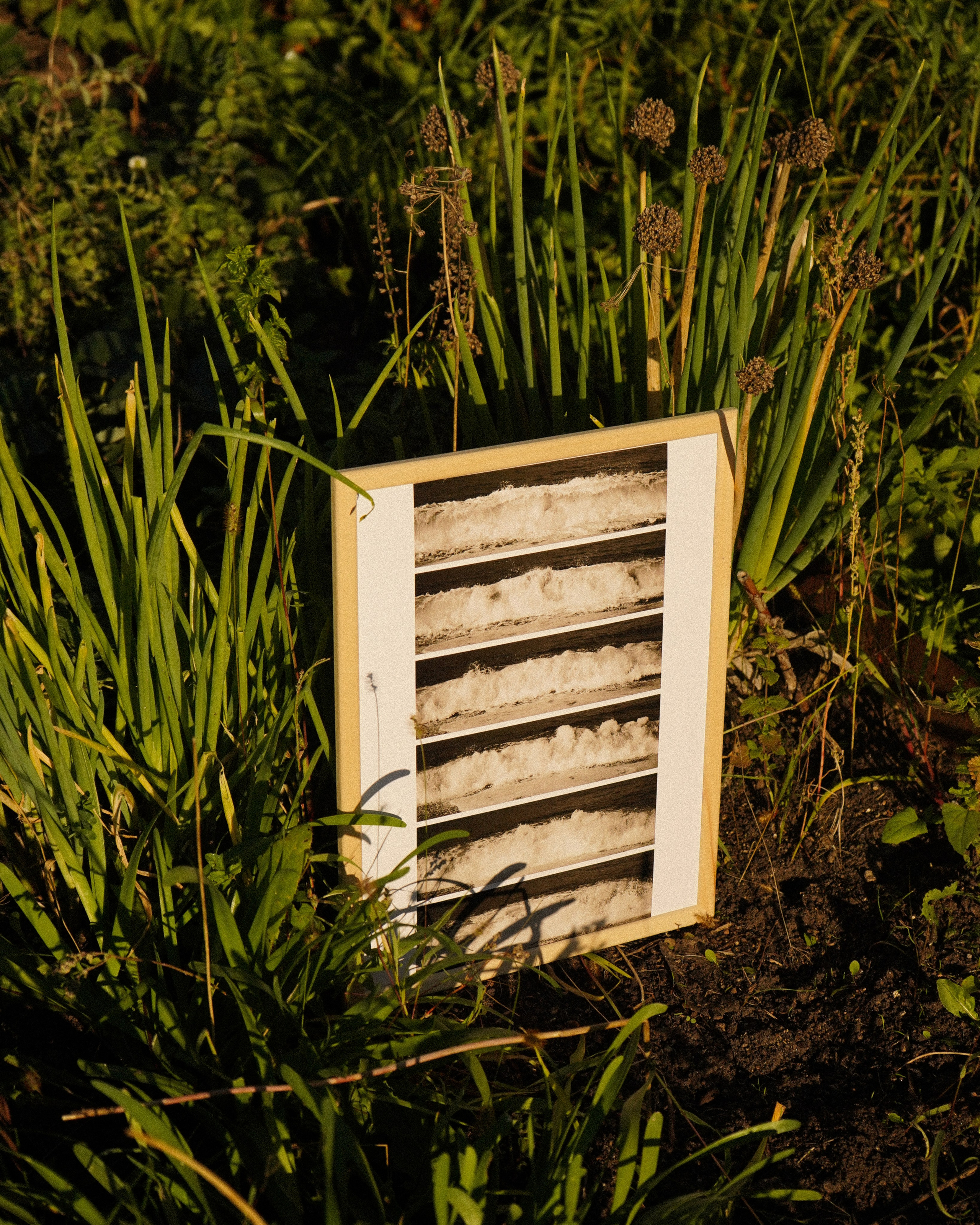 WAVES. Фотограф Нижний Новгород