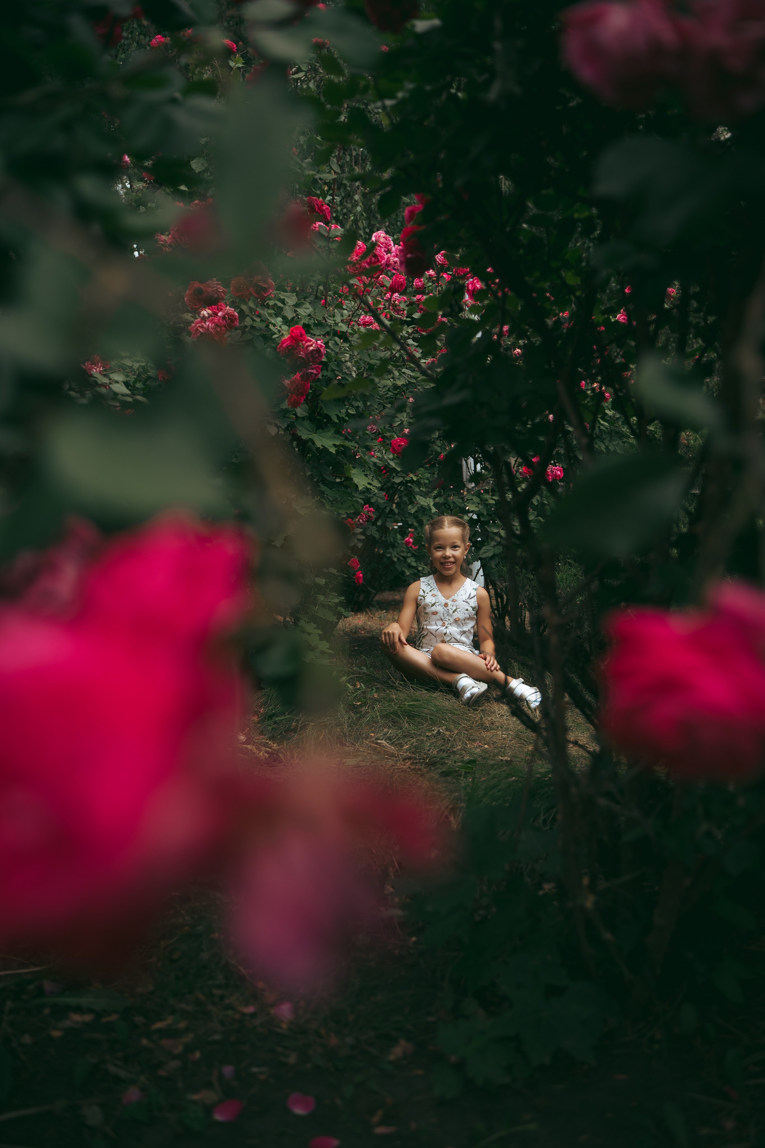 Розы. Фотограф Мария Зайчик