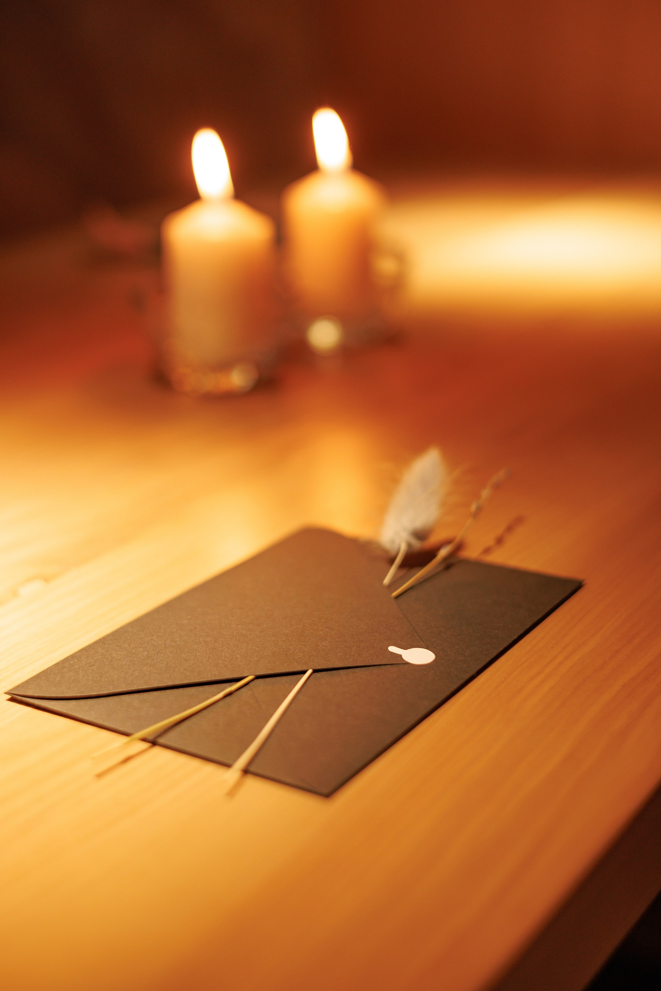 Гастроужин Поселенцы в гостях у Самозванцев