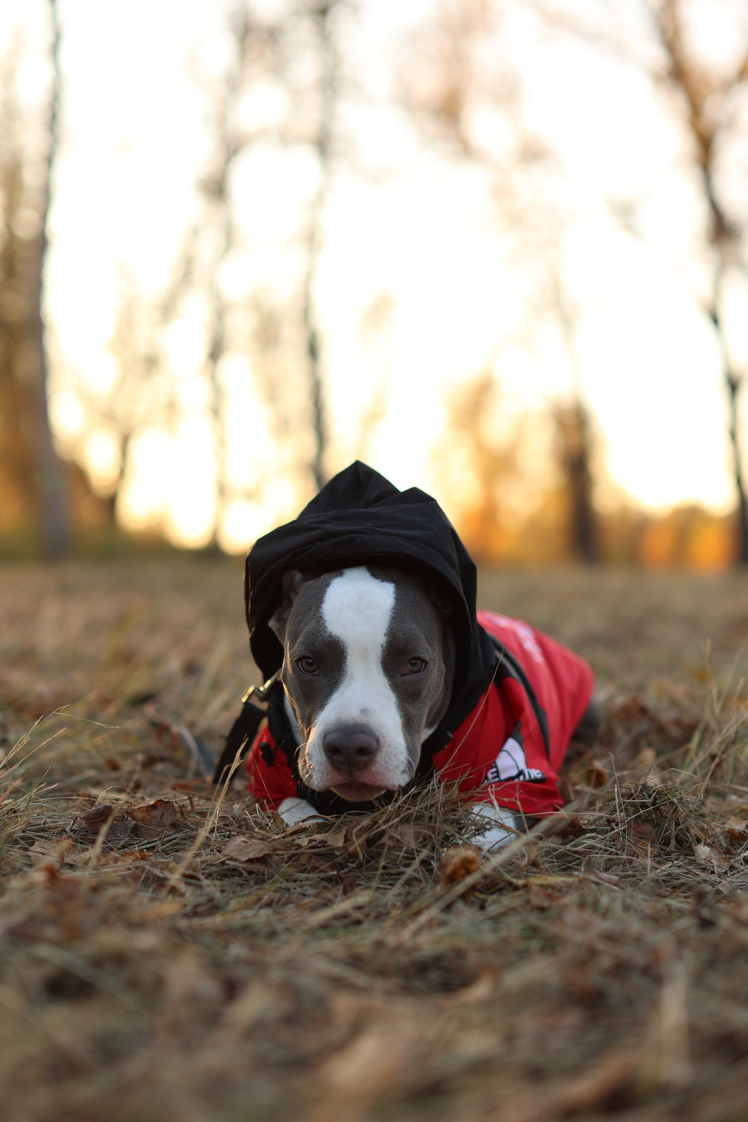 Осень. Art my Pho