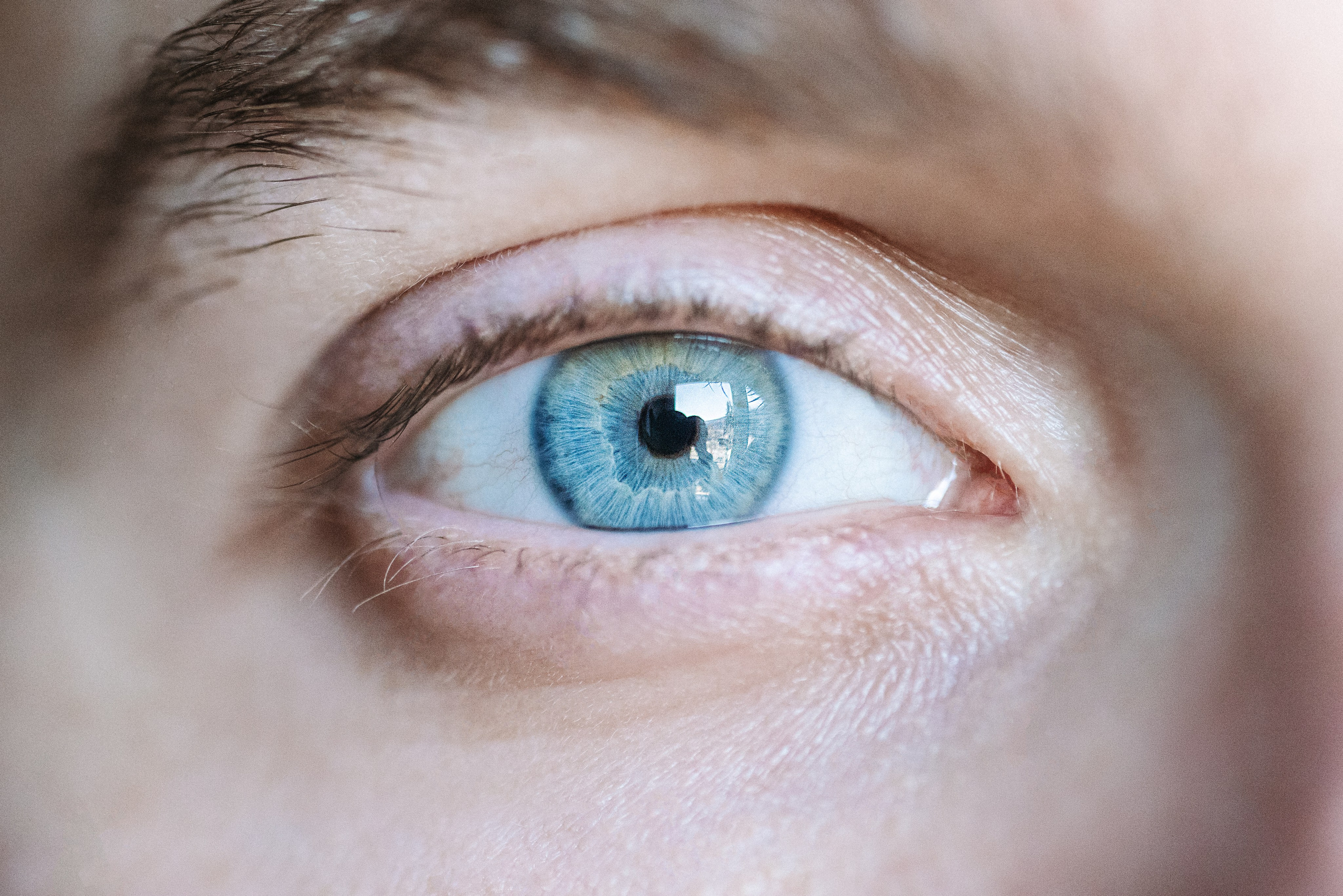 Eyes. Фотограф на Юге России