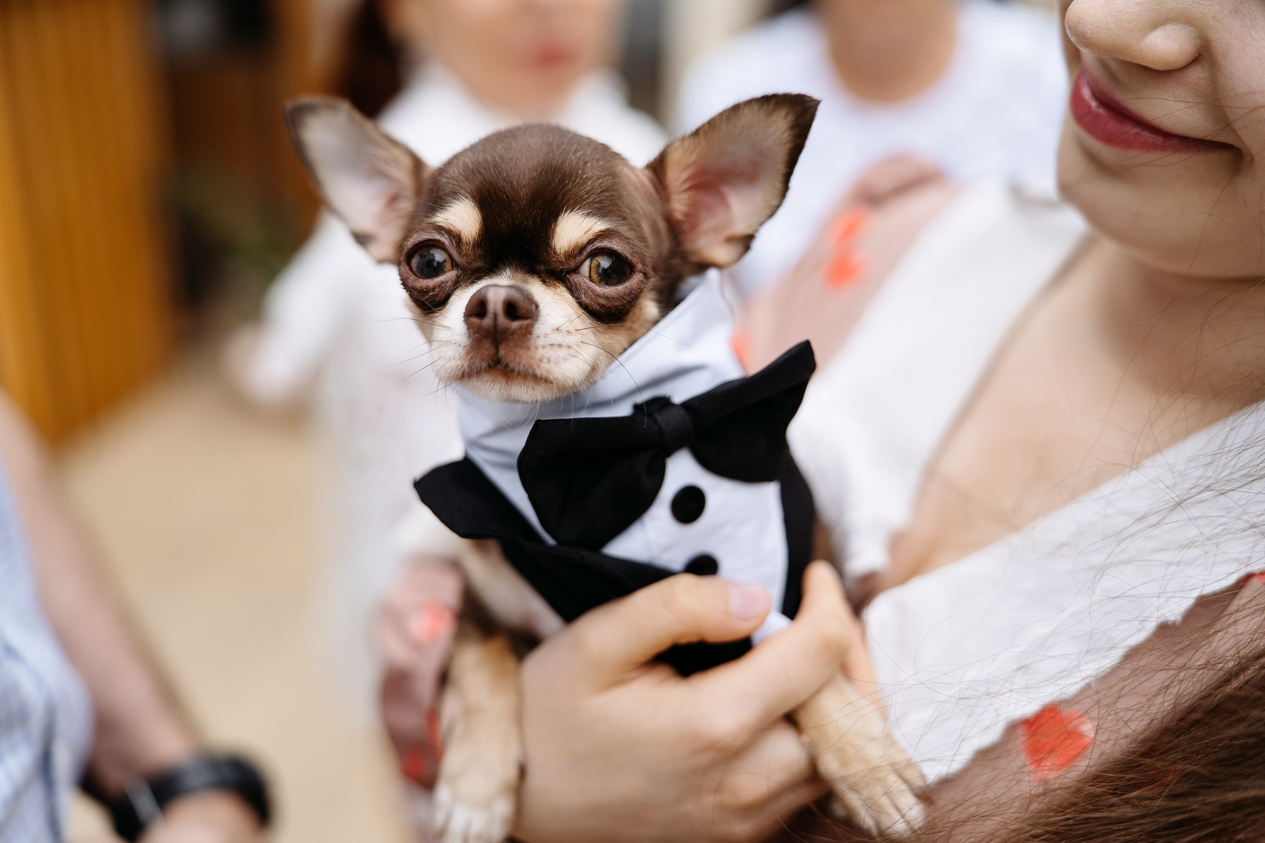 Саша и Саша. Свадебный и репортажный фотограф в Москве Андрей Вайман