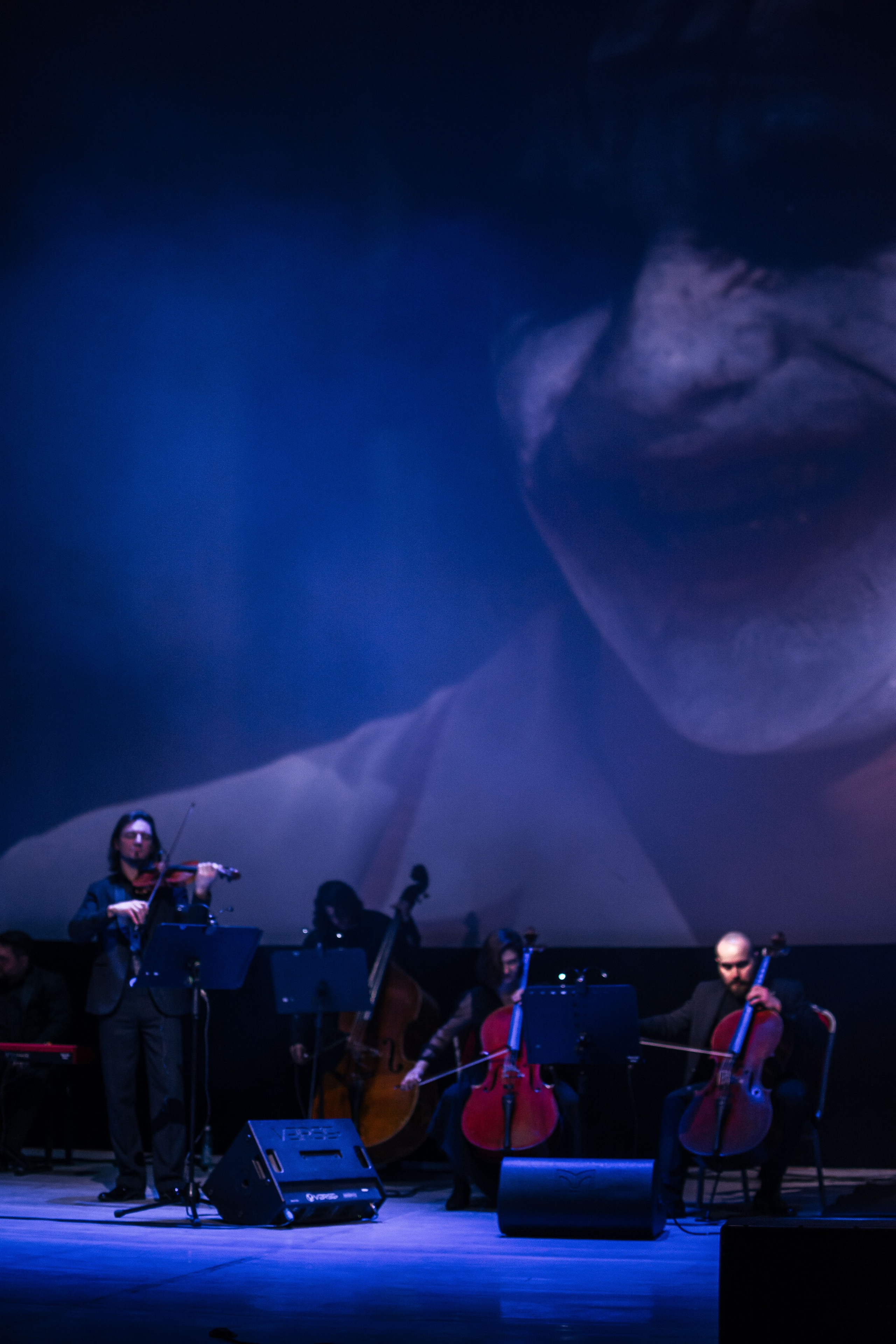 Концерт оркестра Cinematica. Репортажный фотограф в Новосибирске