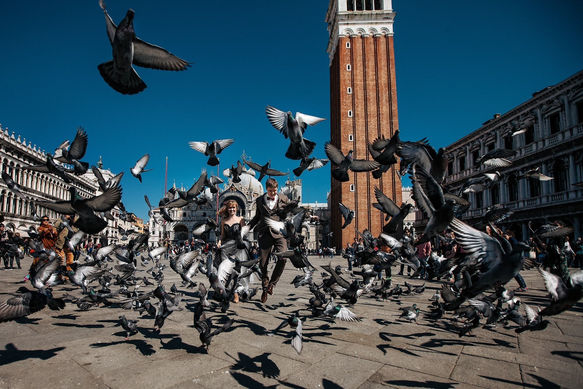Свадебный и семейный фотограф Алексей Аверин