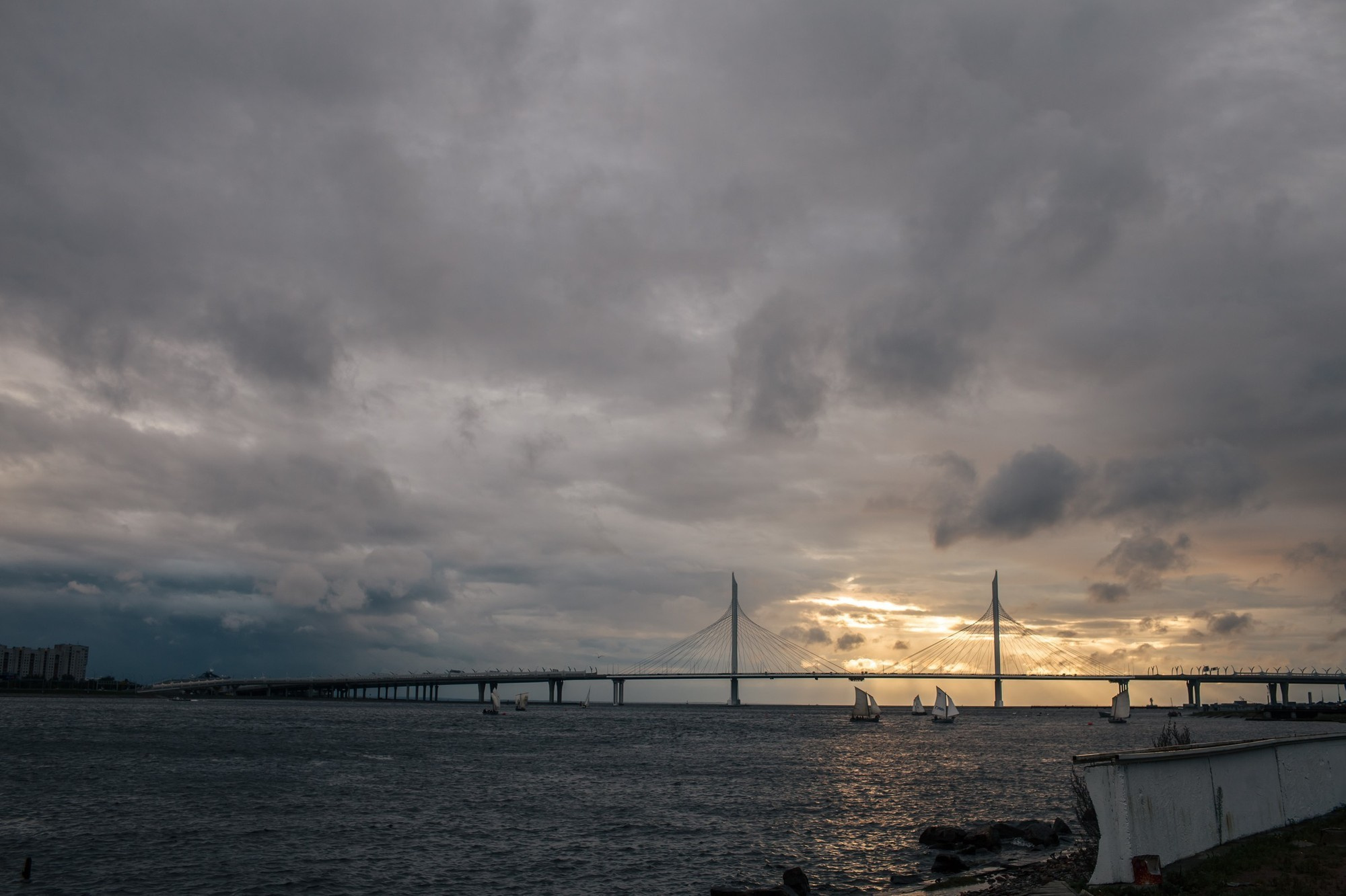 Свадьба Никиты и Камиллы