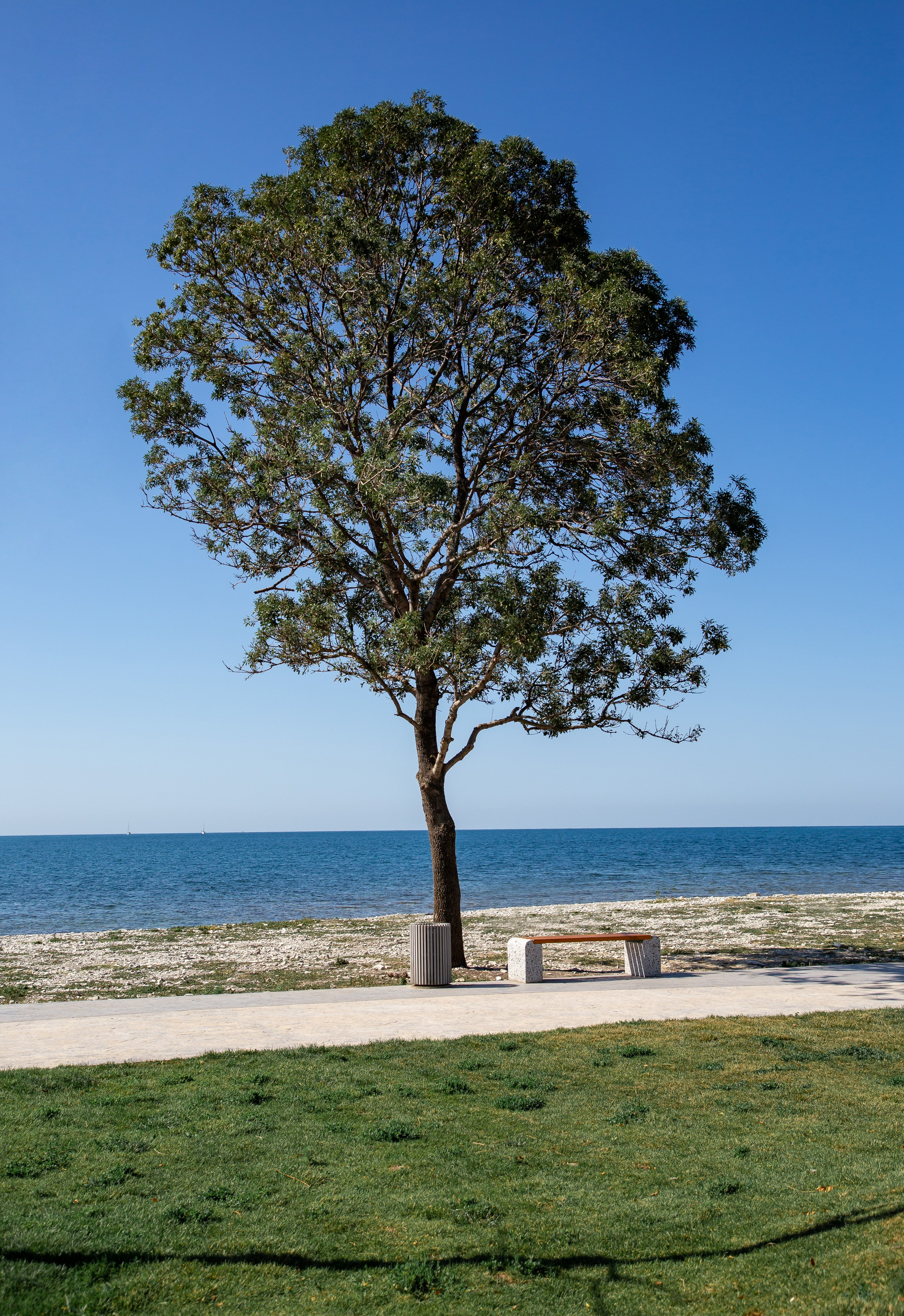 Юлианна и Илья. Репортажный фотограф в Москве