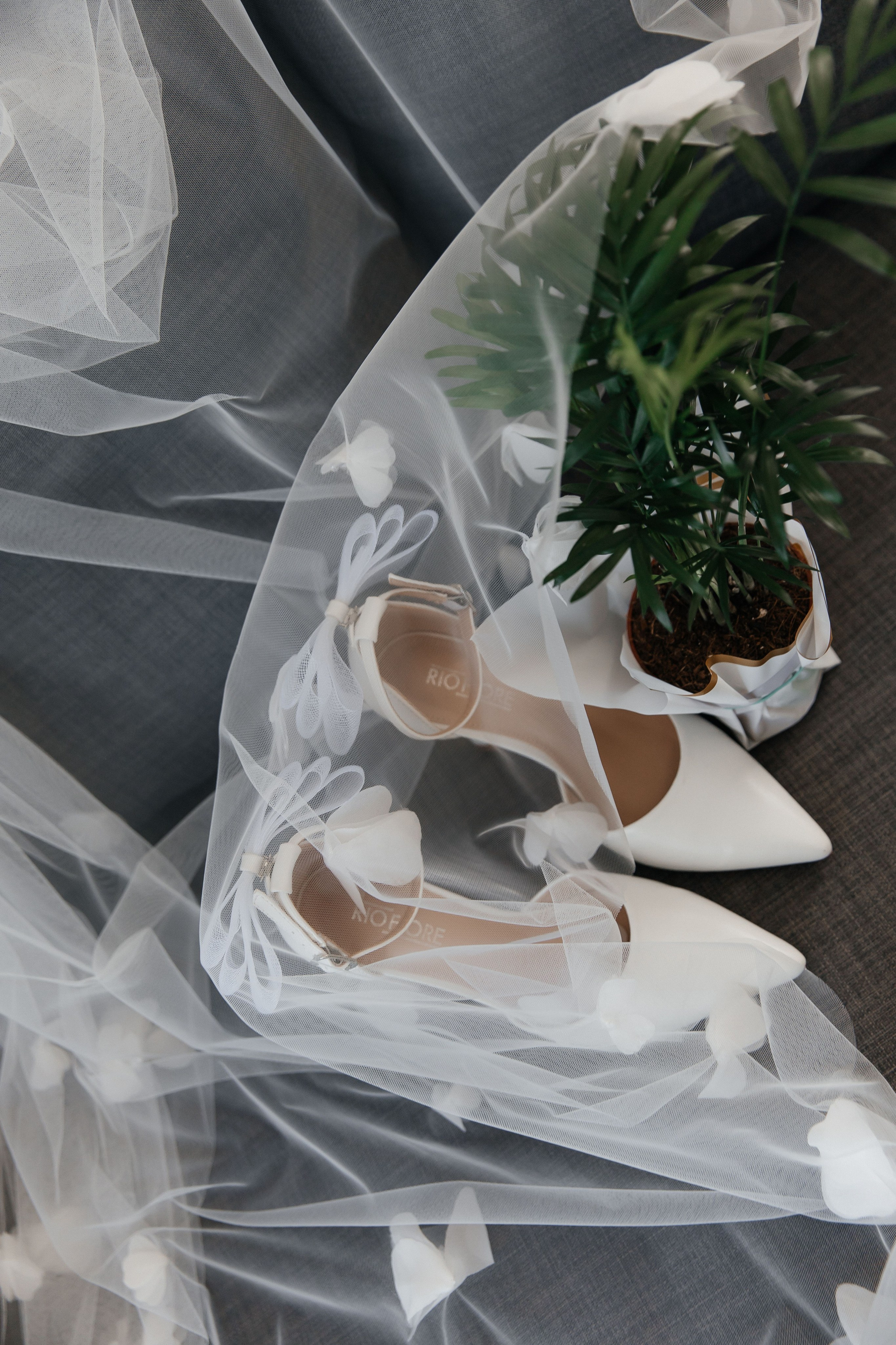 Анонс свадьба в Сочи Александр и Екатерина. Свадебный и семейный фотограф в Севастополе и Крыму Анастасия Сураева