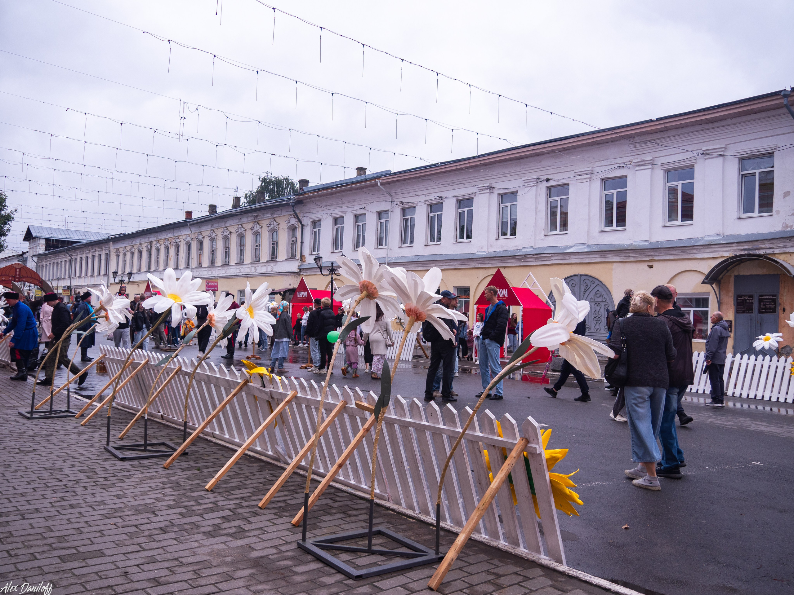День города Муром 2025. Муром-Инфо. Новости культуры, образования, спорта в городе Муром