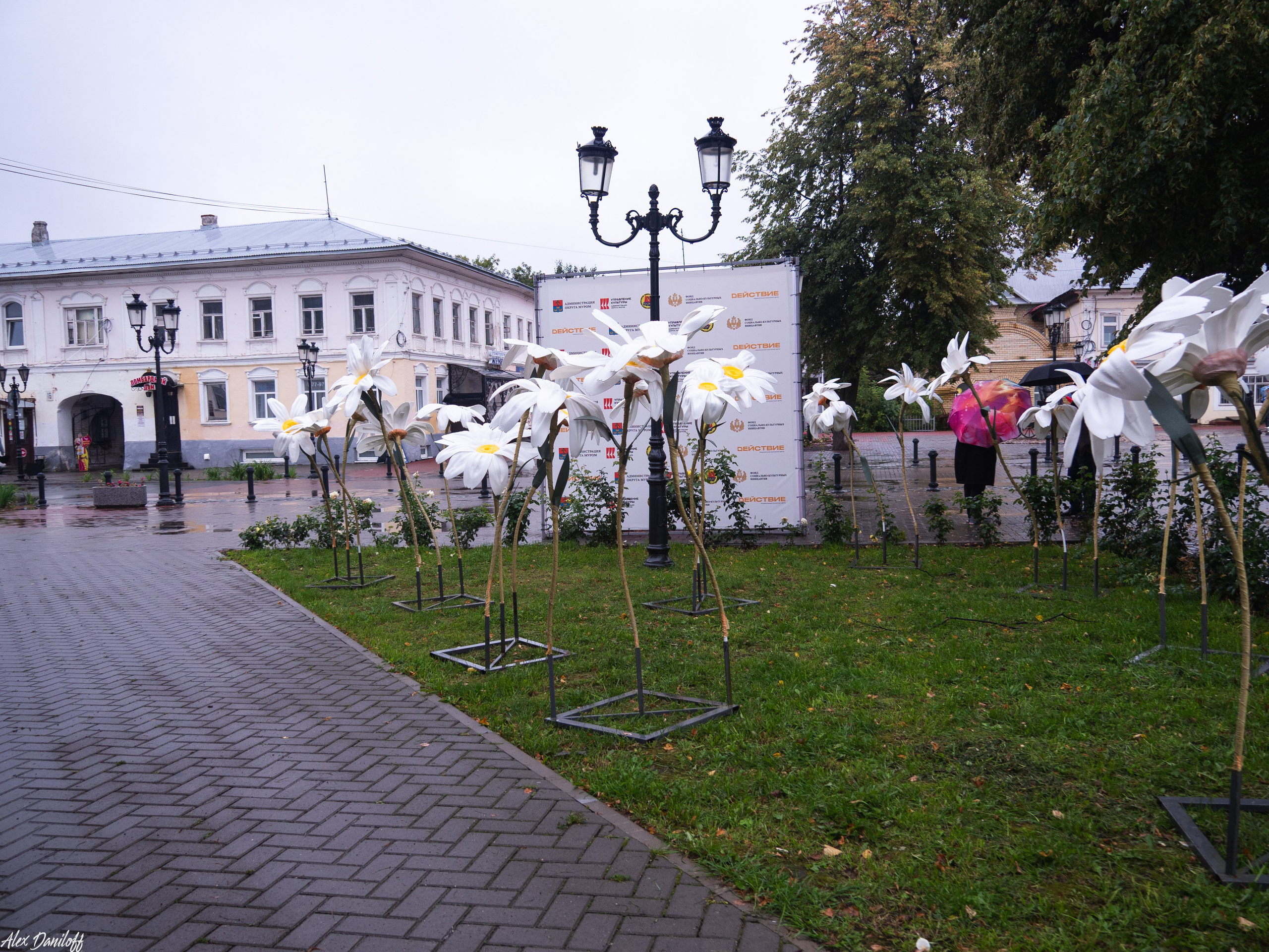 День города Муром 2025. Муром-Инфо. Новости культуры, образования, спорта в городе Муром