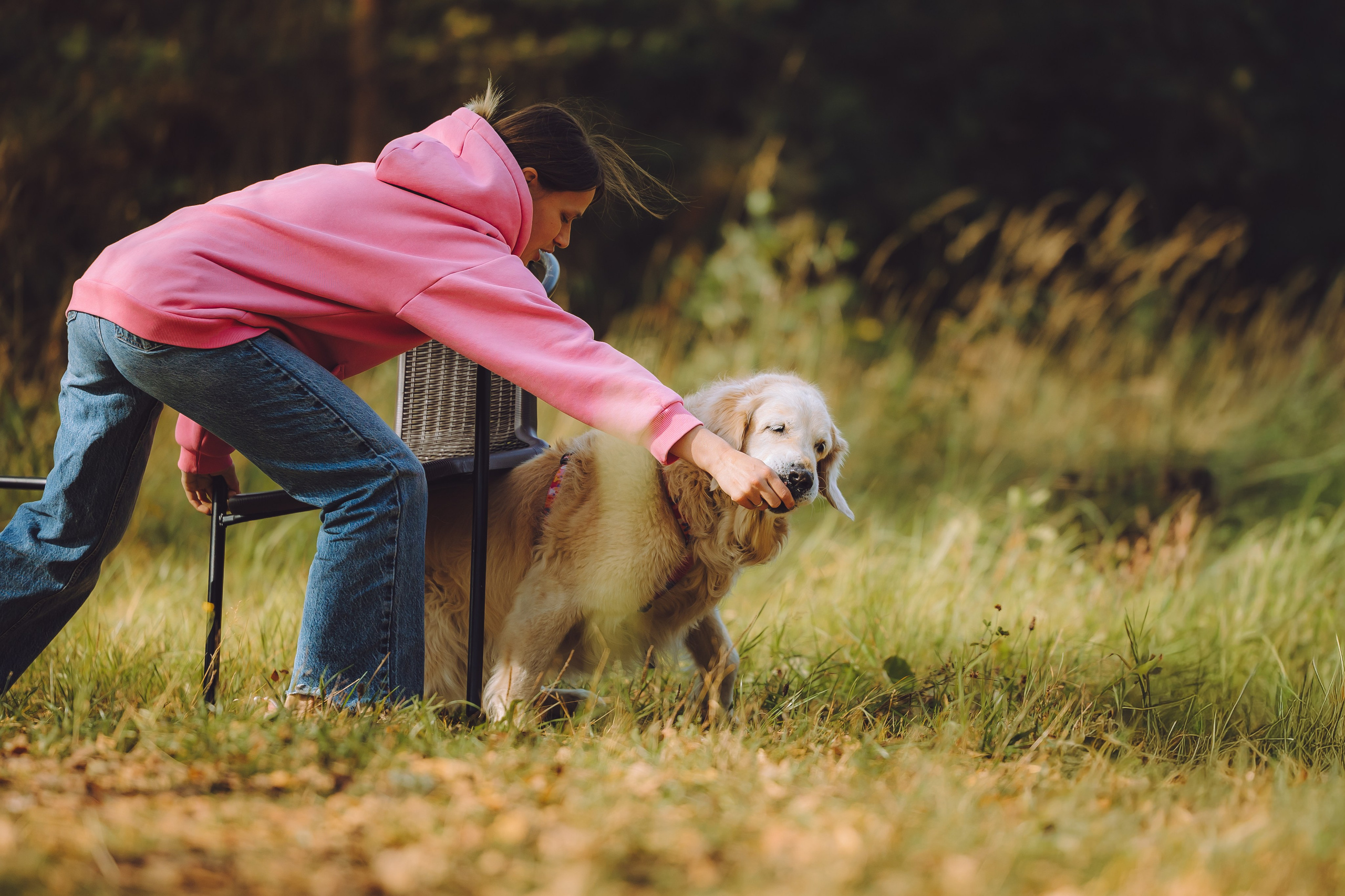 Выездной дог-тренинг от школы «Шерсть имею», Тованово