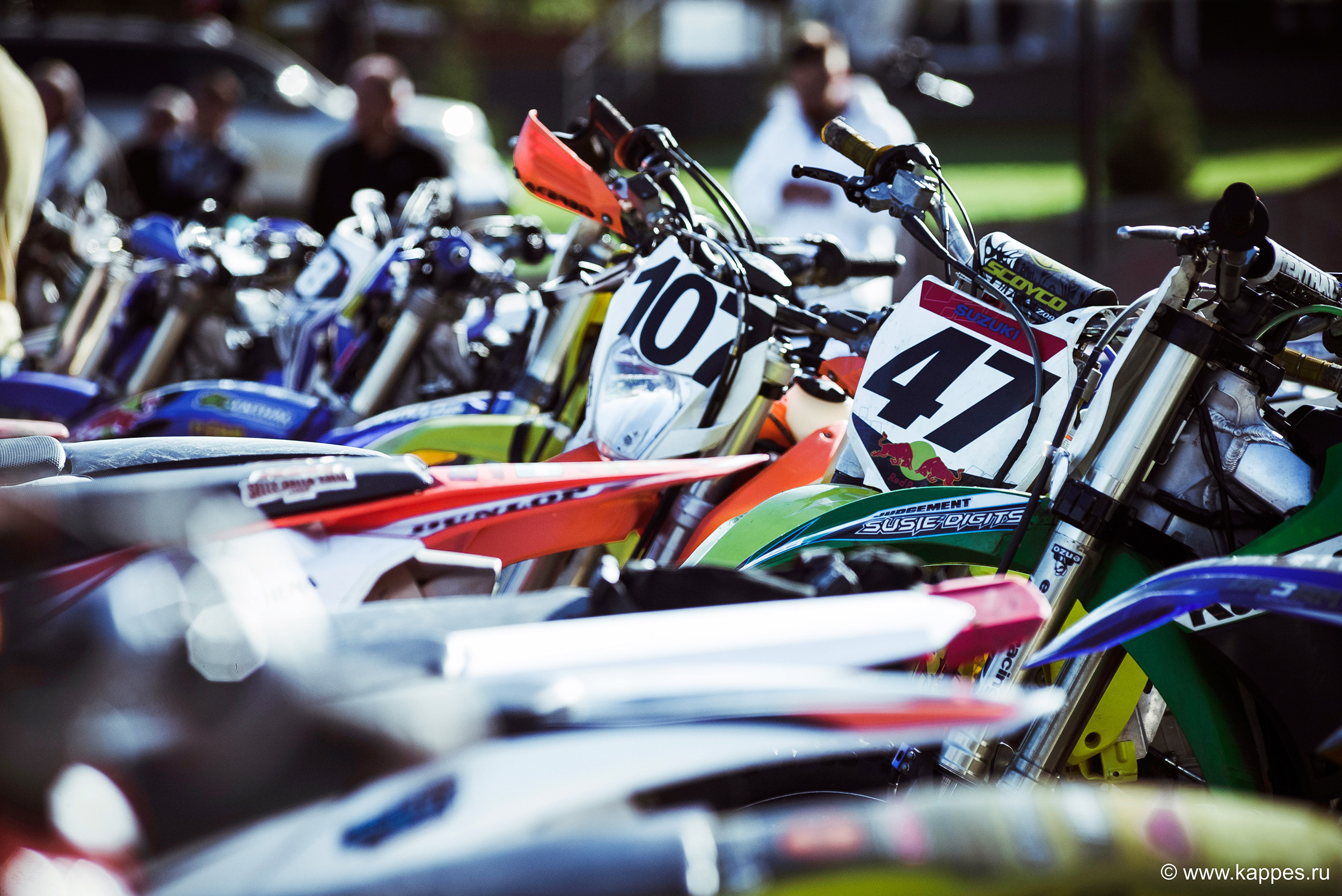 Репортаж и События Барнаул. Фотограф Опыт Качество Скорость Горный Алтай Барнаул