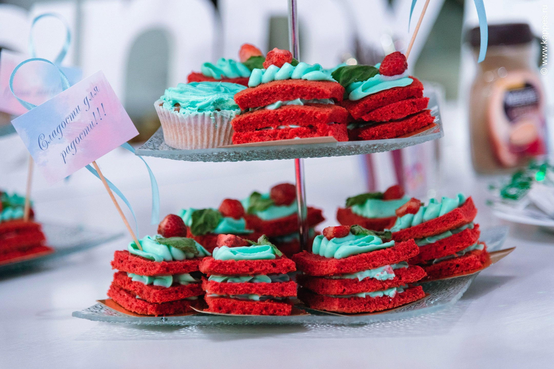 Свадебный фотограф Барнаул качественно. Фотограф Опыт Качество Скорость Горный Алтай Барнаул