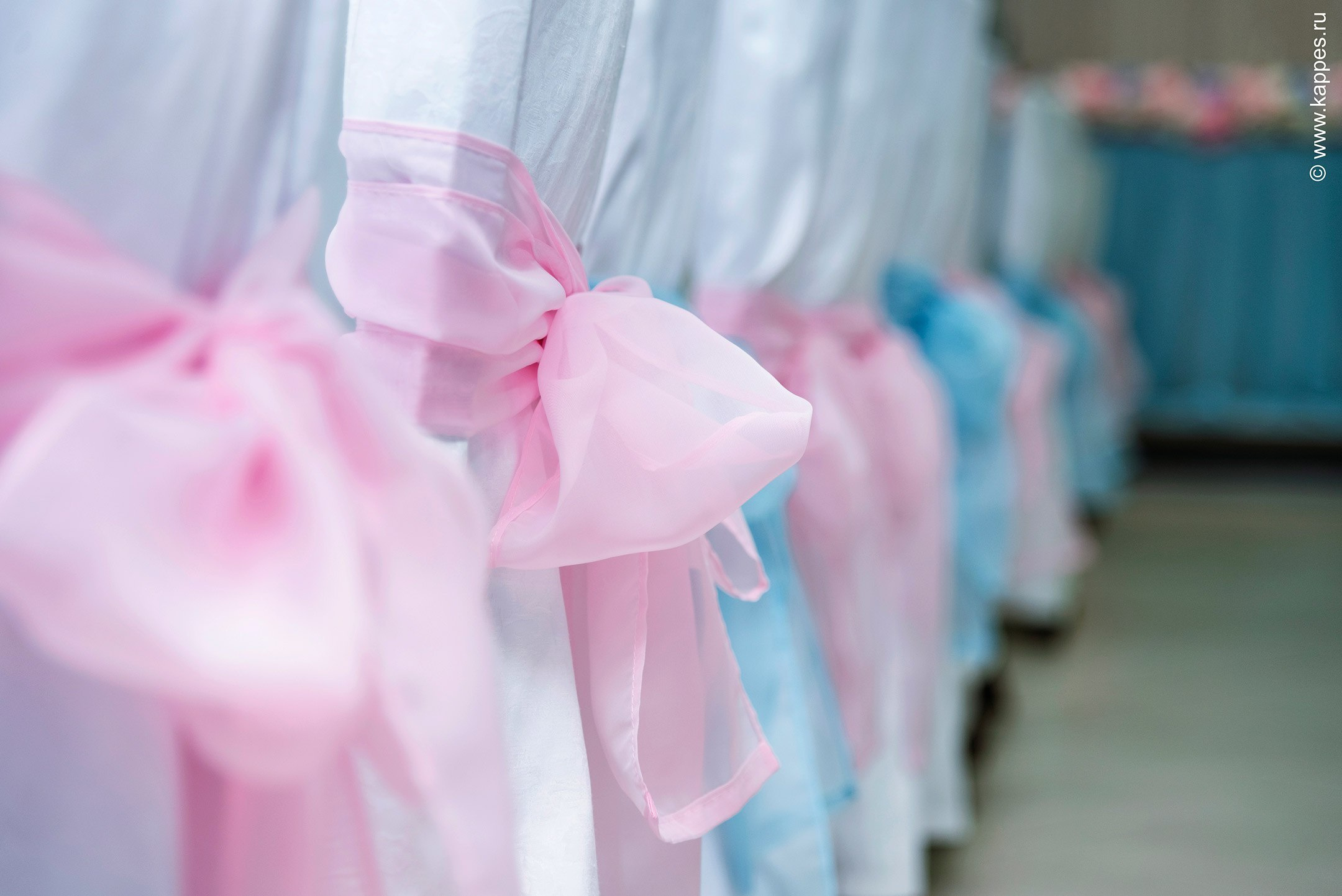 Свадебный фотограф Барнаул качественно. Фотограф Опыт Качество Скорость Горный Алтай Барнаул