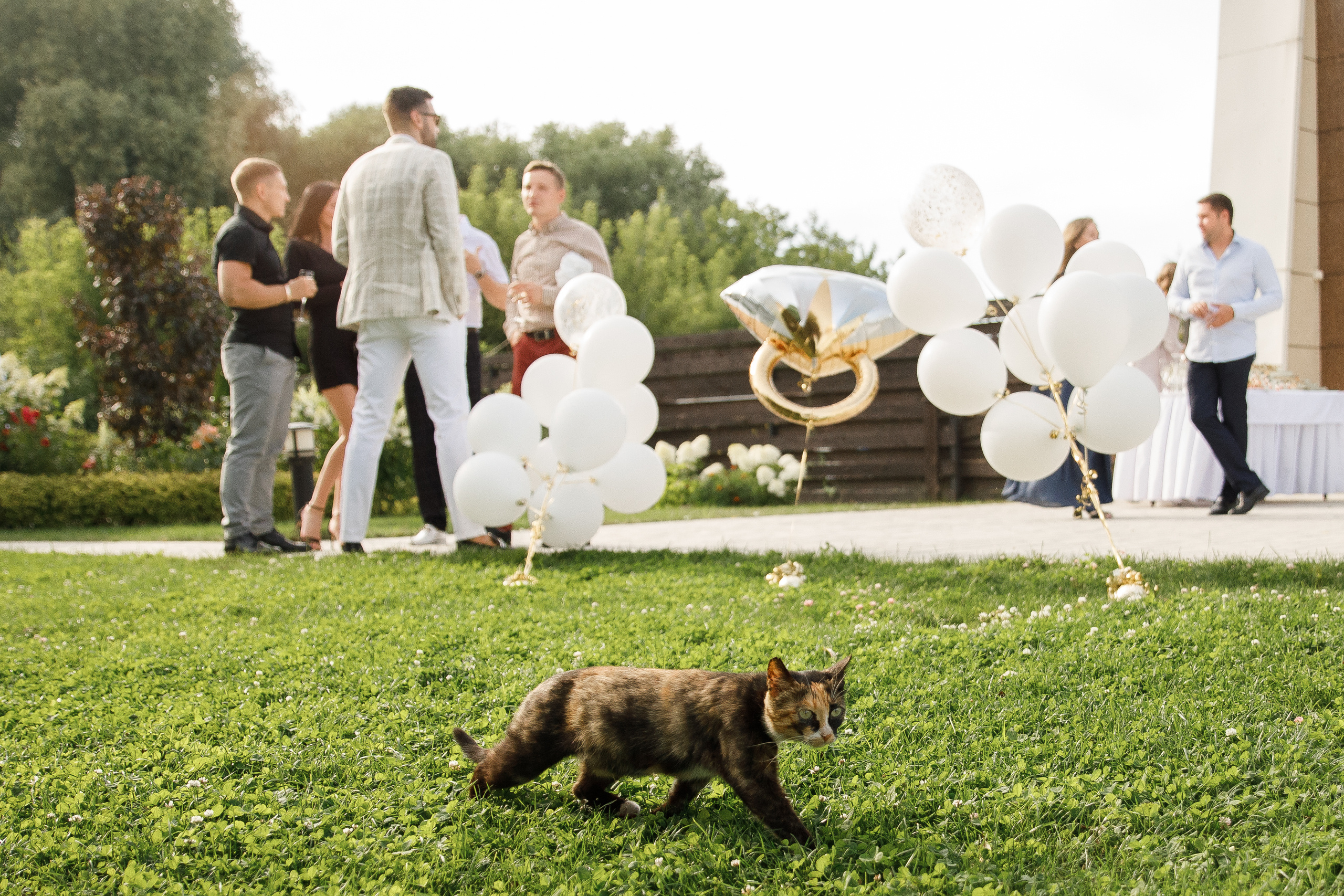 Nikita & Tatiana. Студийный и свадебный фотограф в Москве Айк Саркисян