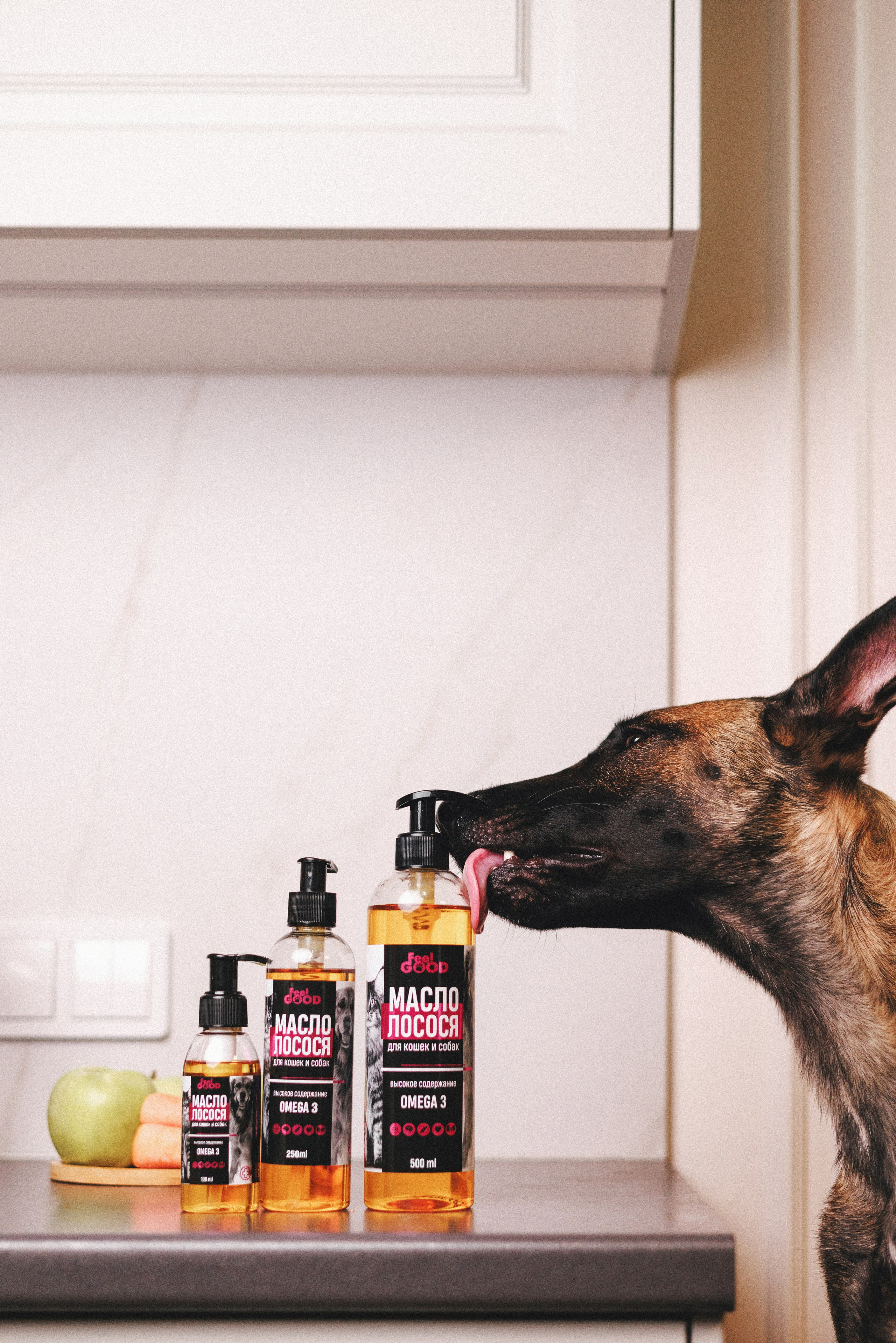 Товары для питомцев M-Pets & Petbiology. Фотограф анималист Осипчикова Мария