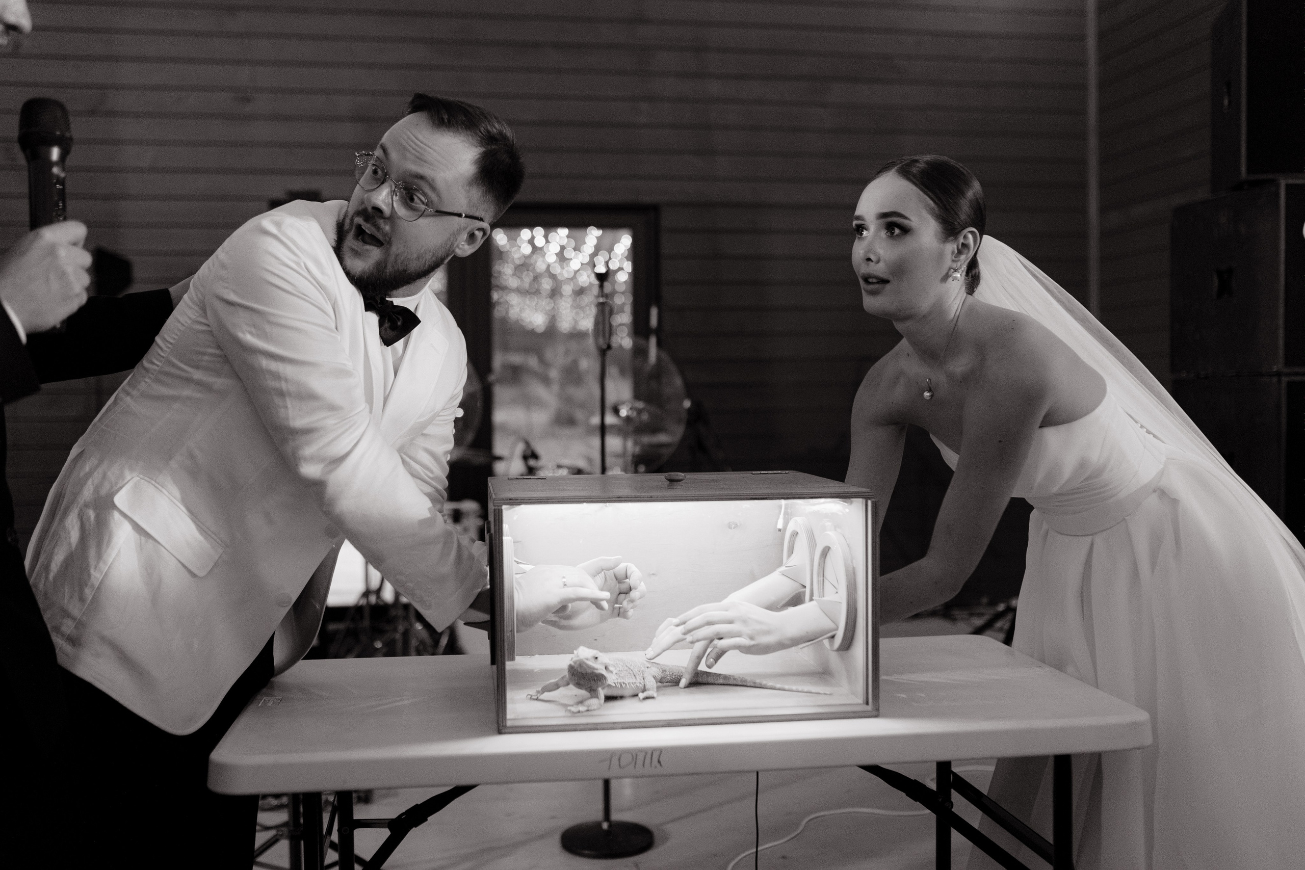 Anastasya/Anton. Свадебный фотограф Павел Князев