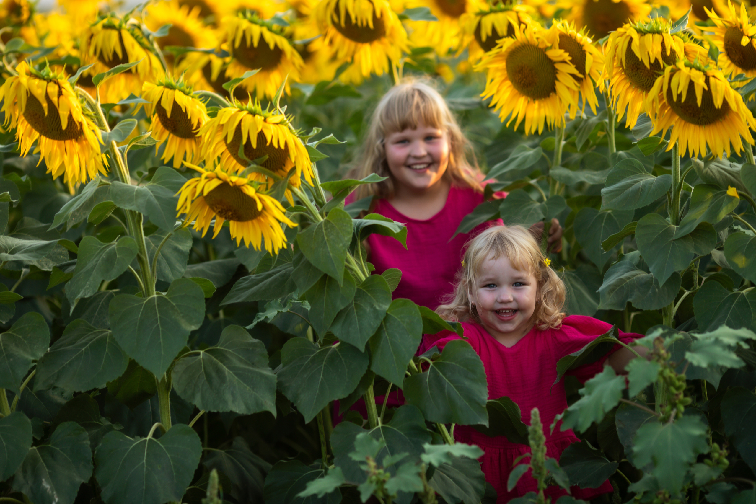 Вика+Алена+Аня. Свадебный и семейный фотограф в Михайловке Полина Крипс