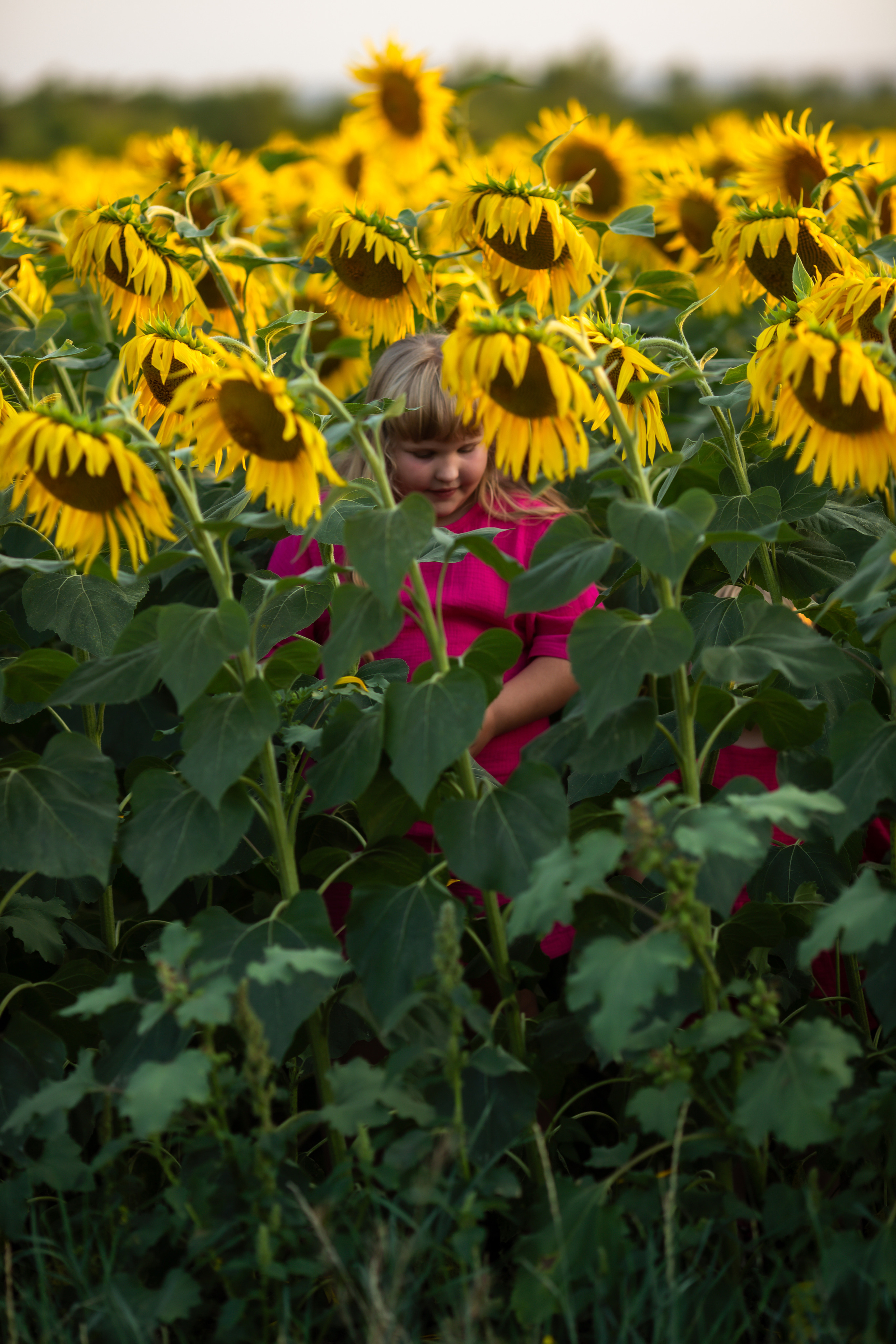 Вика+Алена+Аня. Свадебный и семейный фотограф в Михайловке Полина Крипс