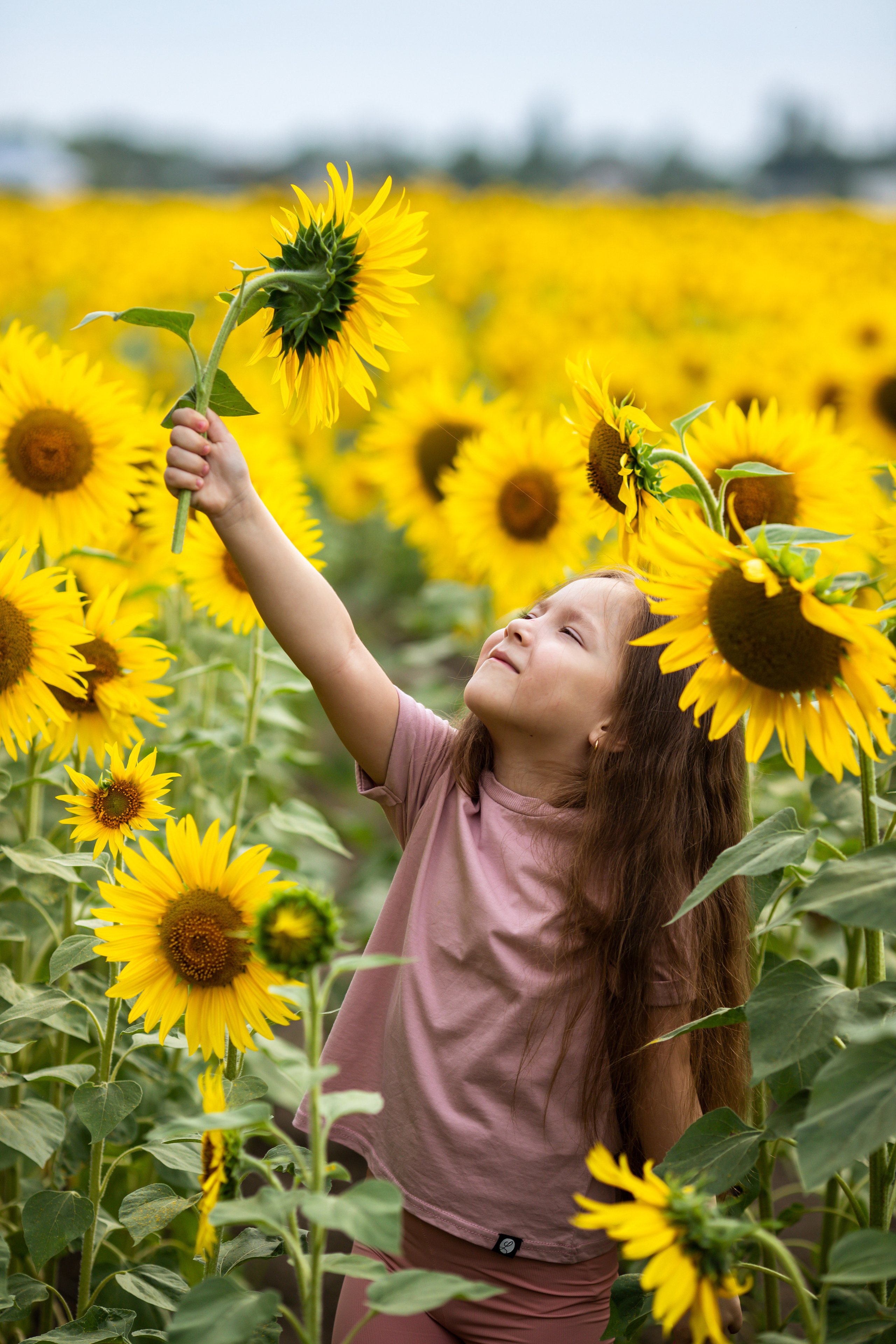 Лена+Полина+Таня. Свадебный и семейный фотограф в Михайловке Полина Крипс