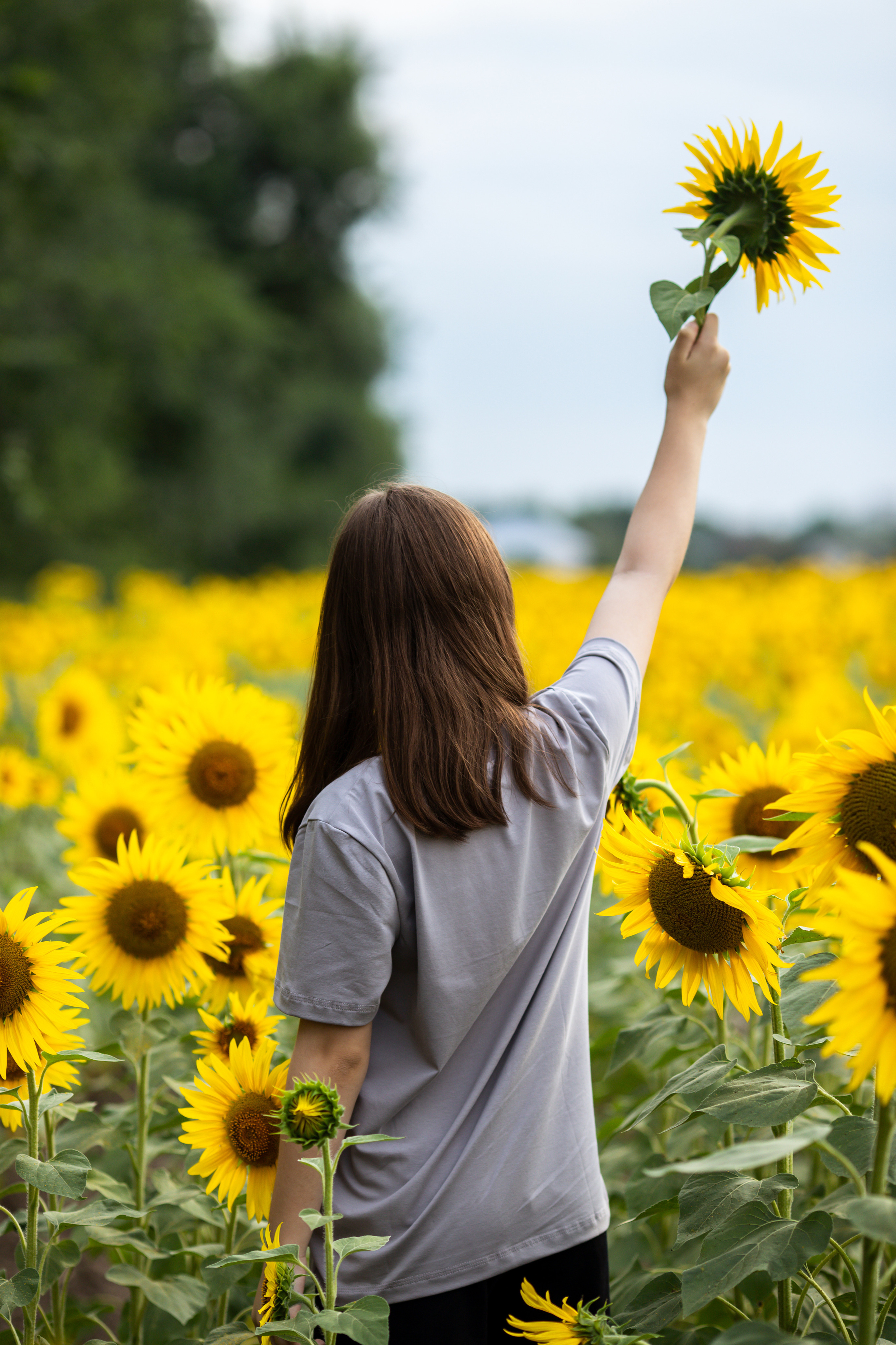 Лена+Полина+Таня. Свадебный и семейный фотограф в Михайловке Полина Крипс