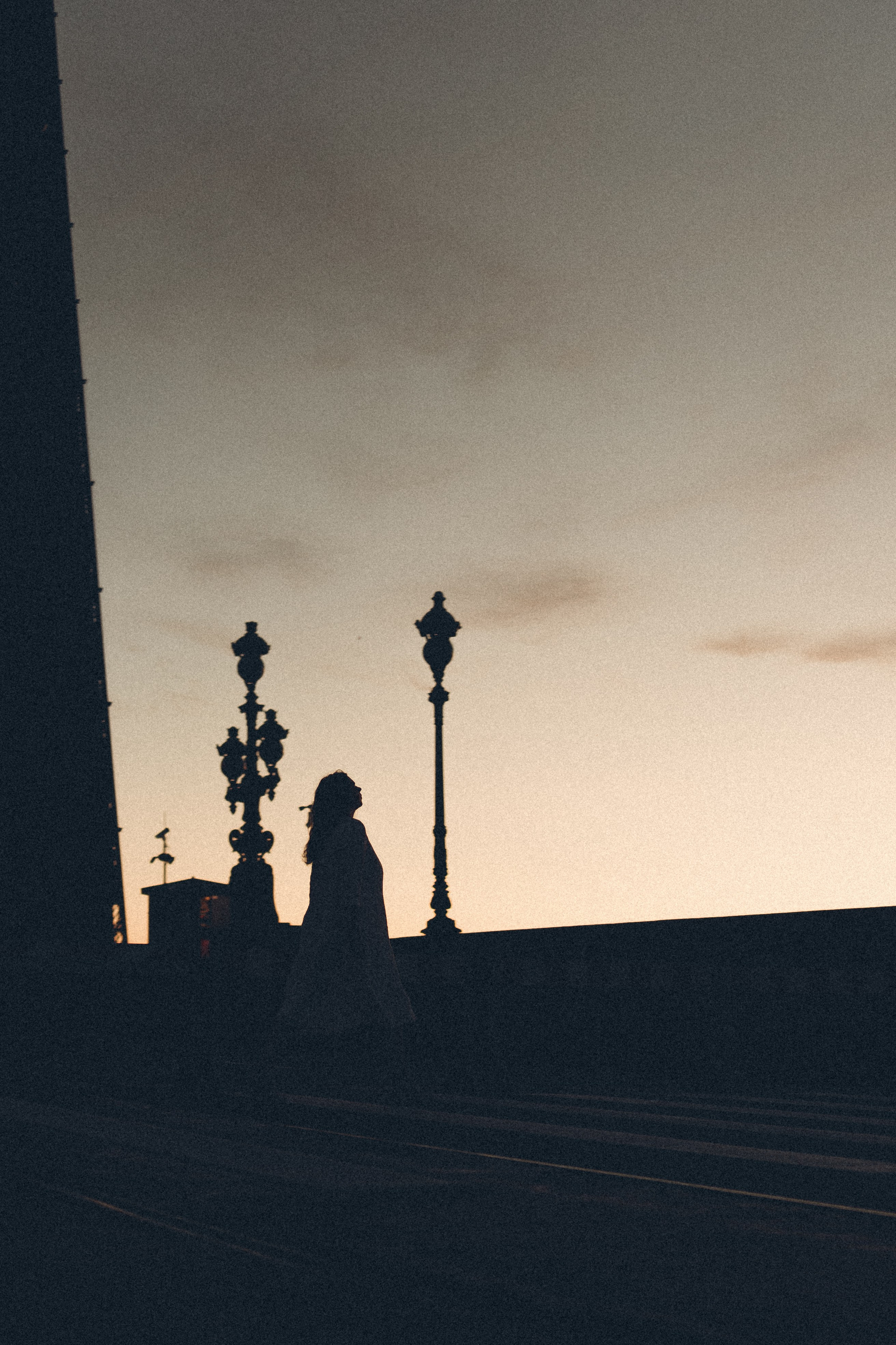 РАССВЕТ С РАЗВОДНЫМИ МОСТАМИ. Профессиональный фотограф, Санкт-Петербург — Виктория Богомолова