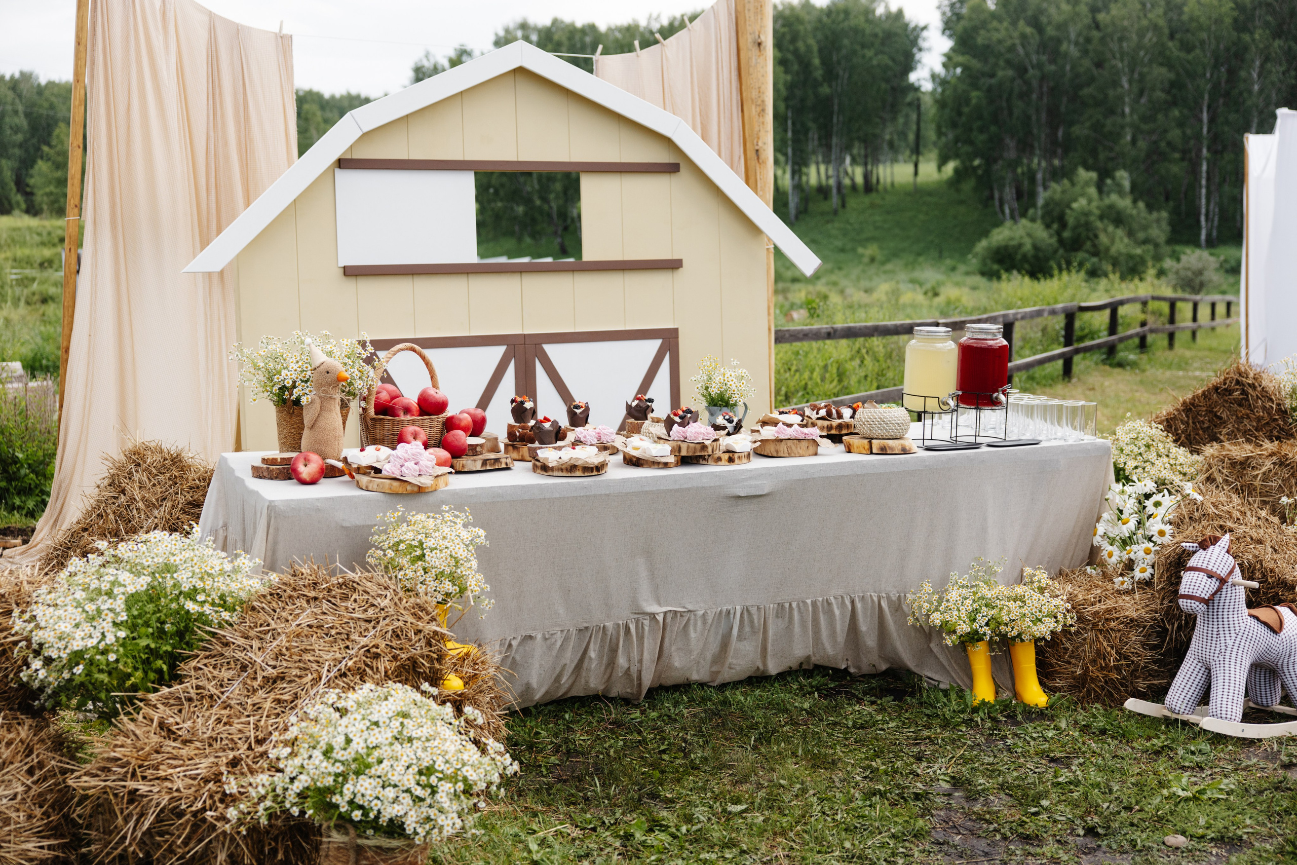 ГЕНДЕР ПАТИ. Фотограф в Красноярске