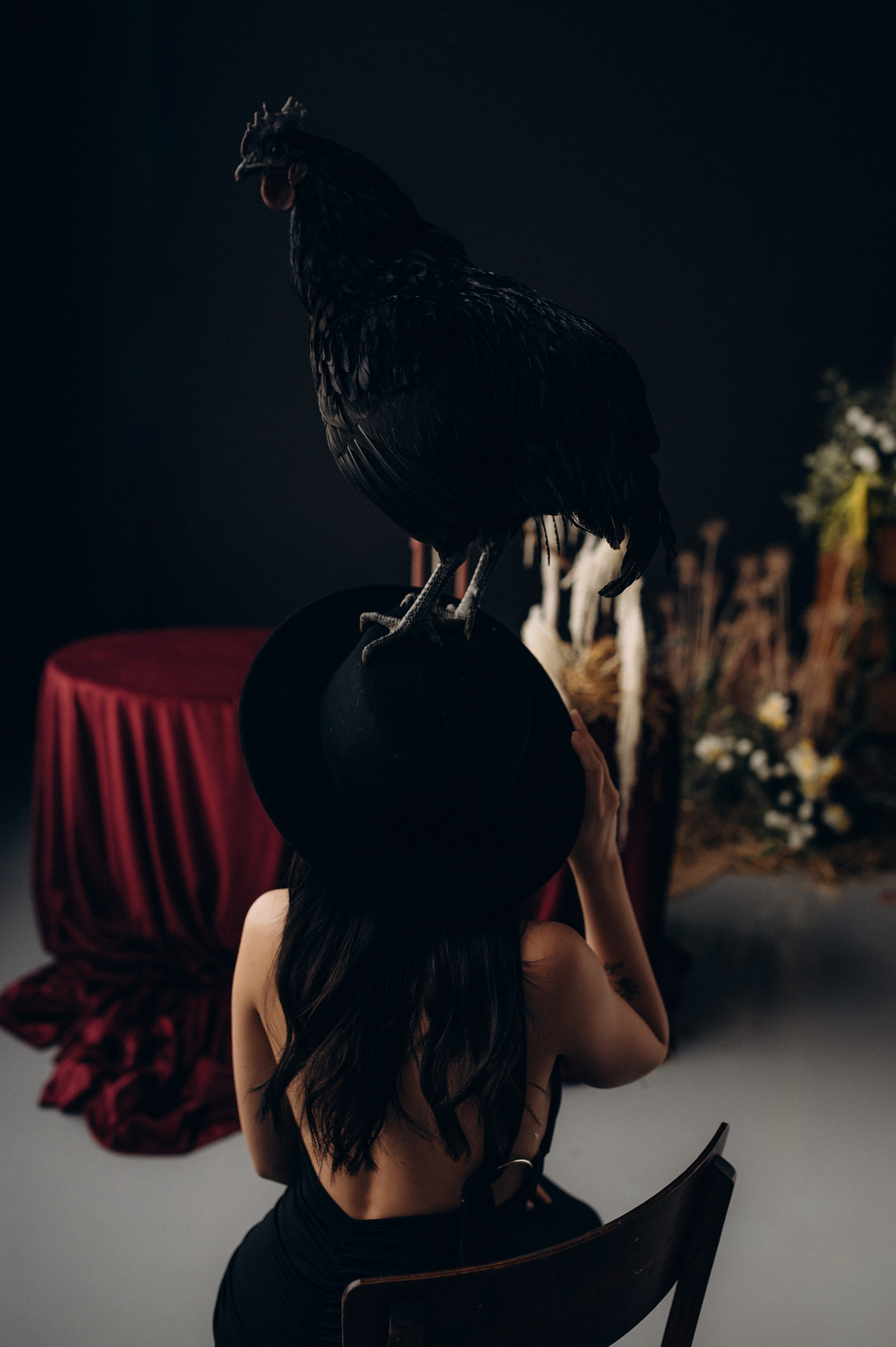 Фотосессия с петухом!. Фотограф Алексин, Тула