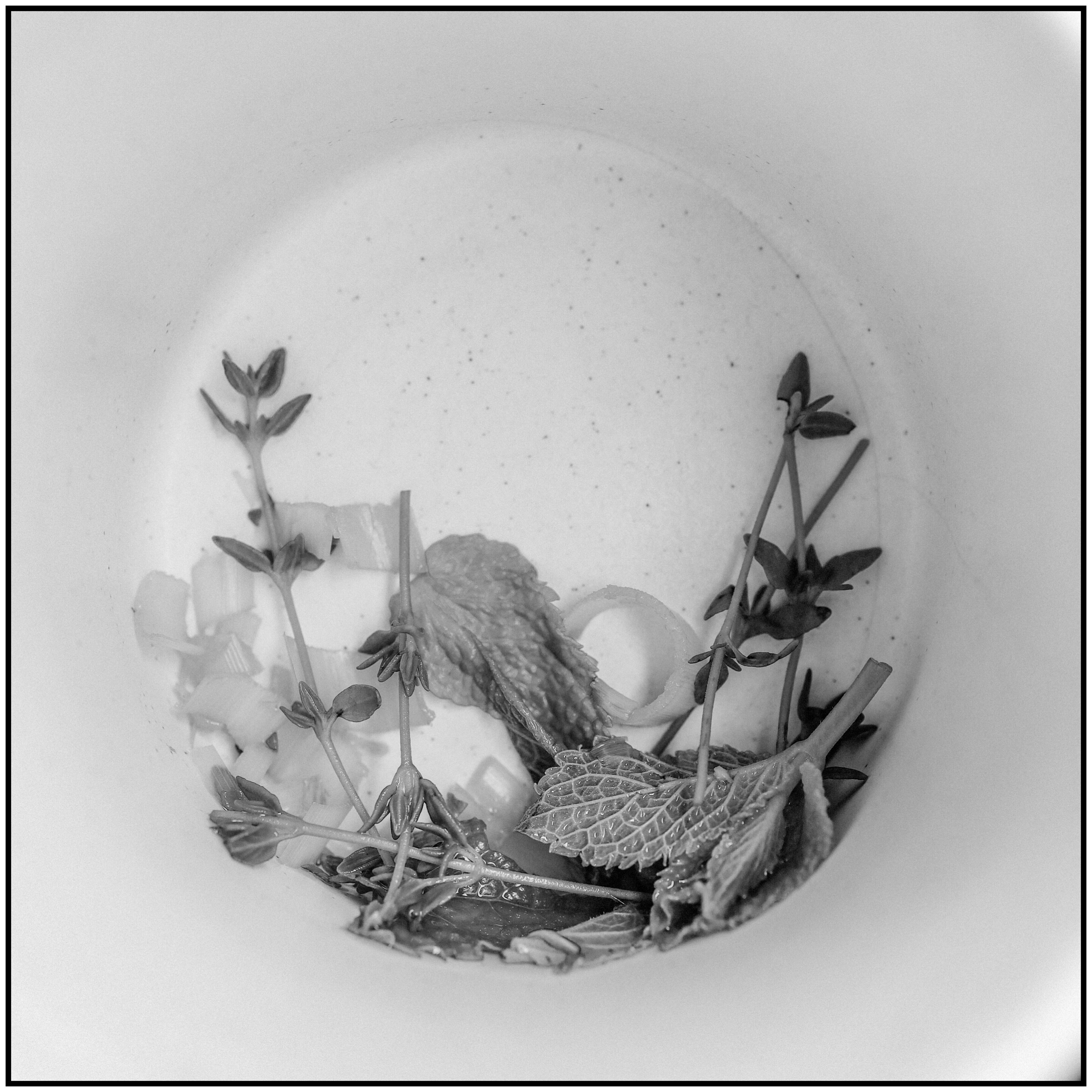 Пространства &. Фотохудожник в СПб