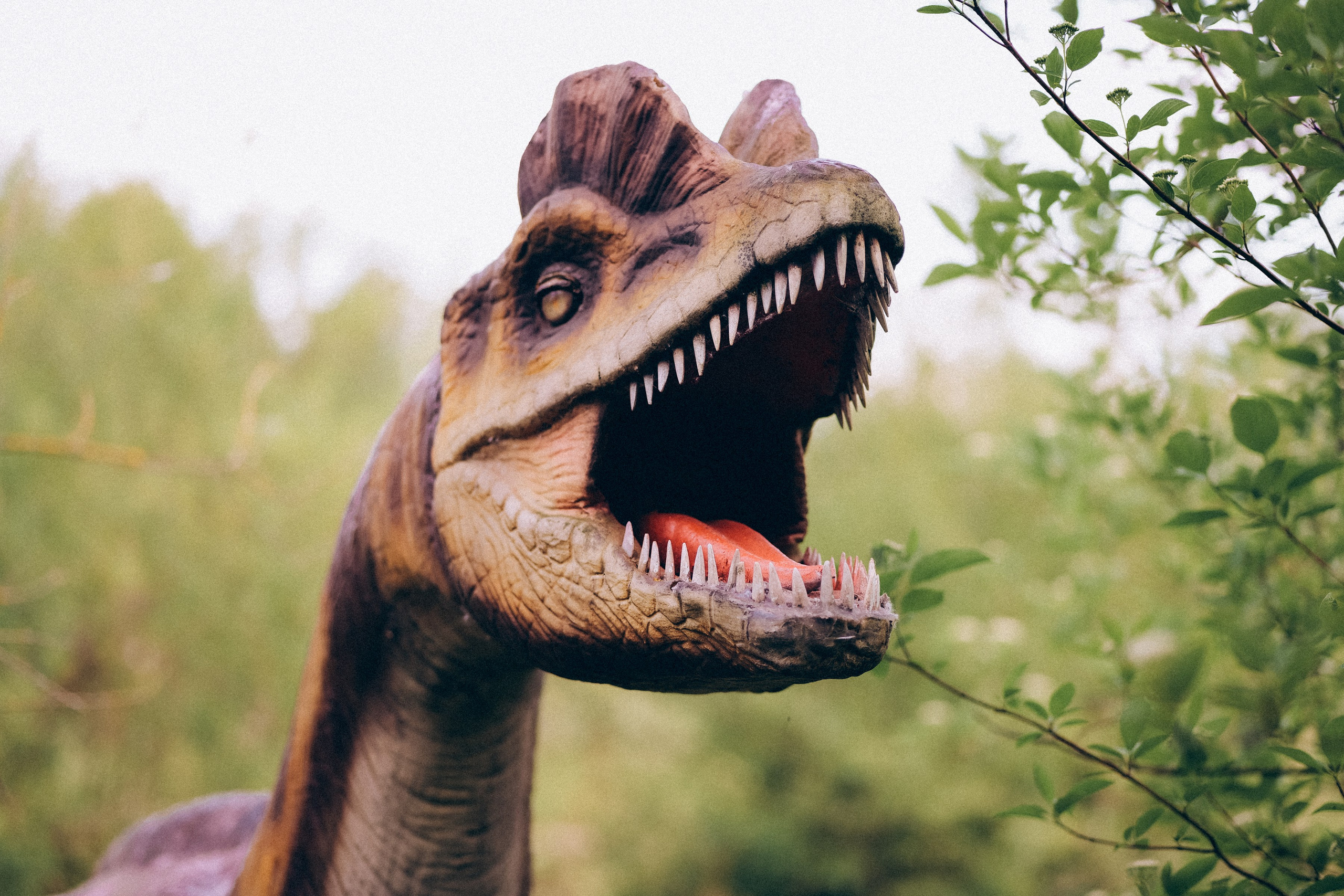 Семейная прогулка в Динопарке