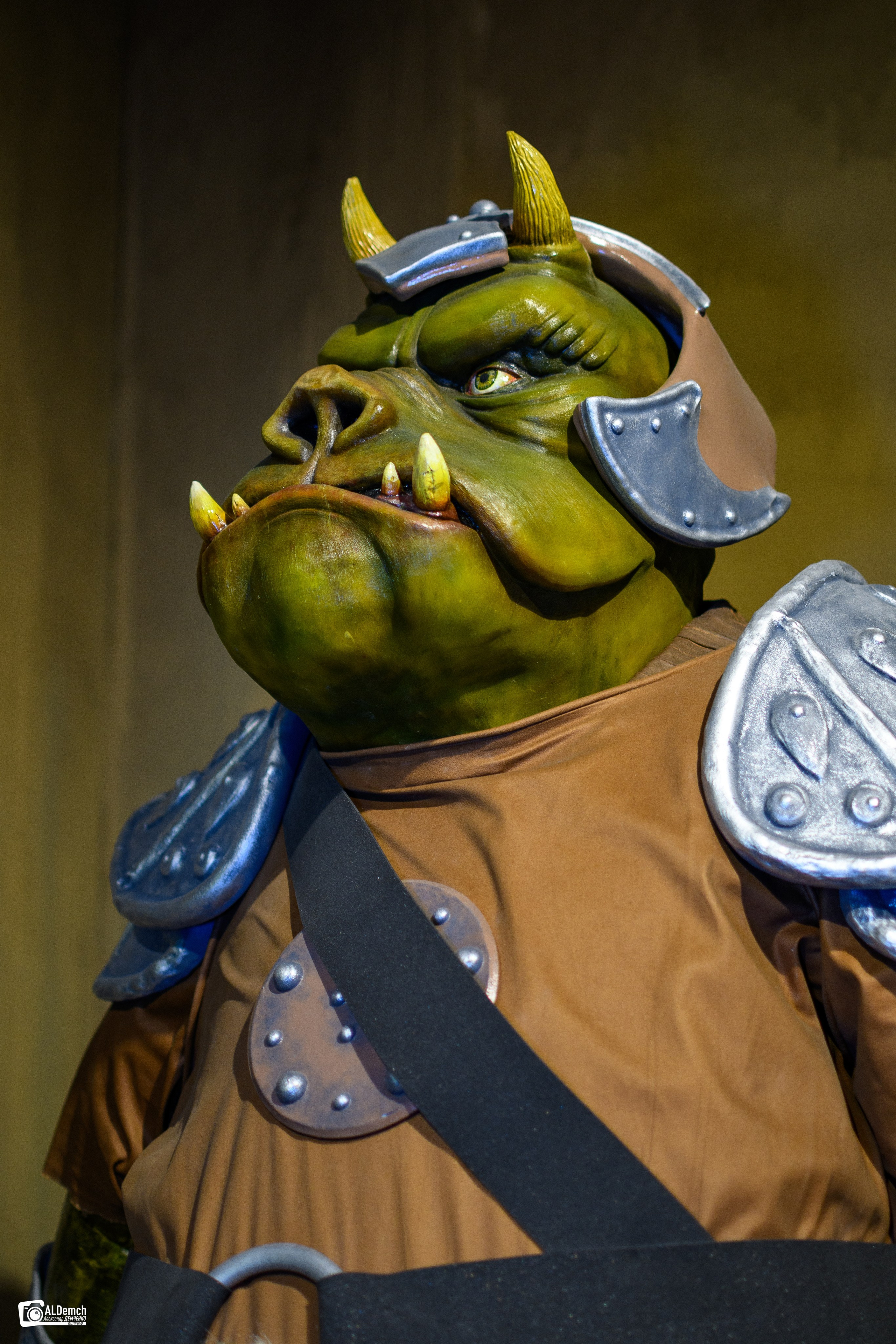 Фотосессия по звёздным войнам