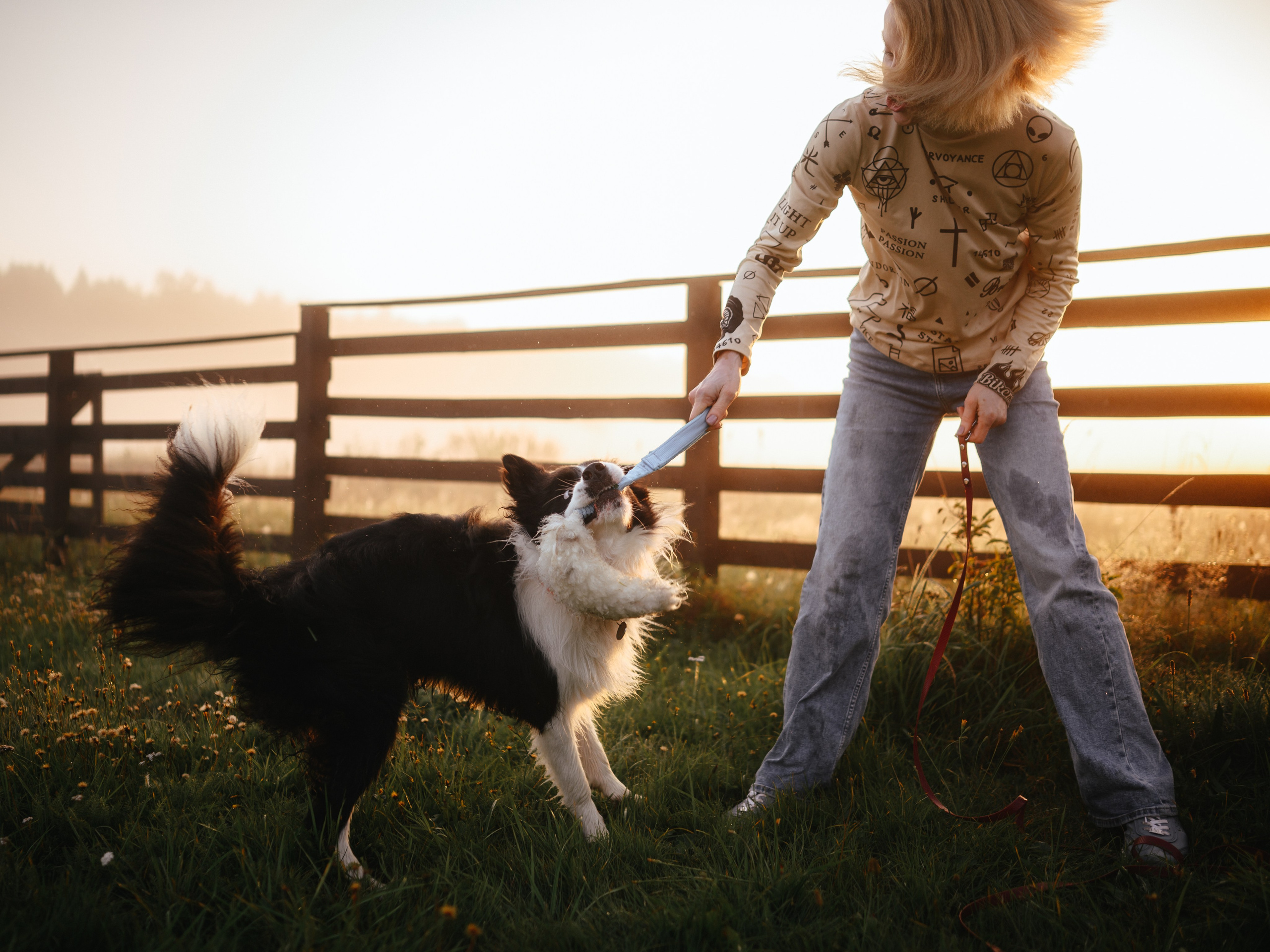 Семейная прогулка. Семейный фотограф анималист Ананьева Мария — Москва