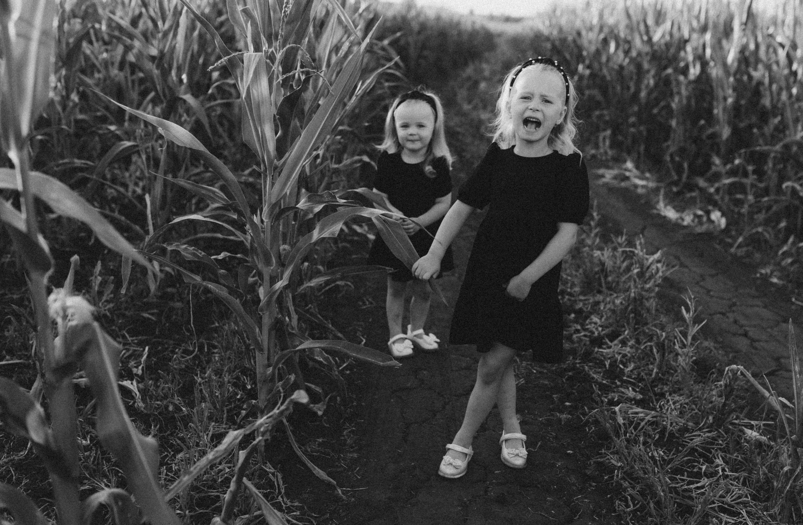 Лера и Дмитрий и прекрасные их девочки. Ольга Смирнова юрист, фотограф