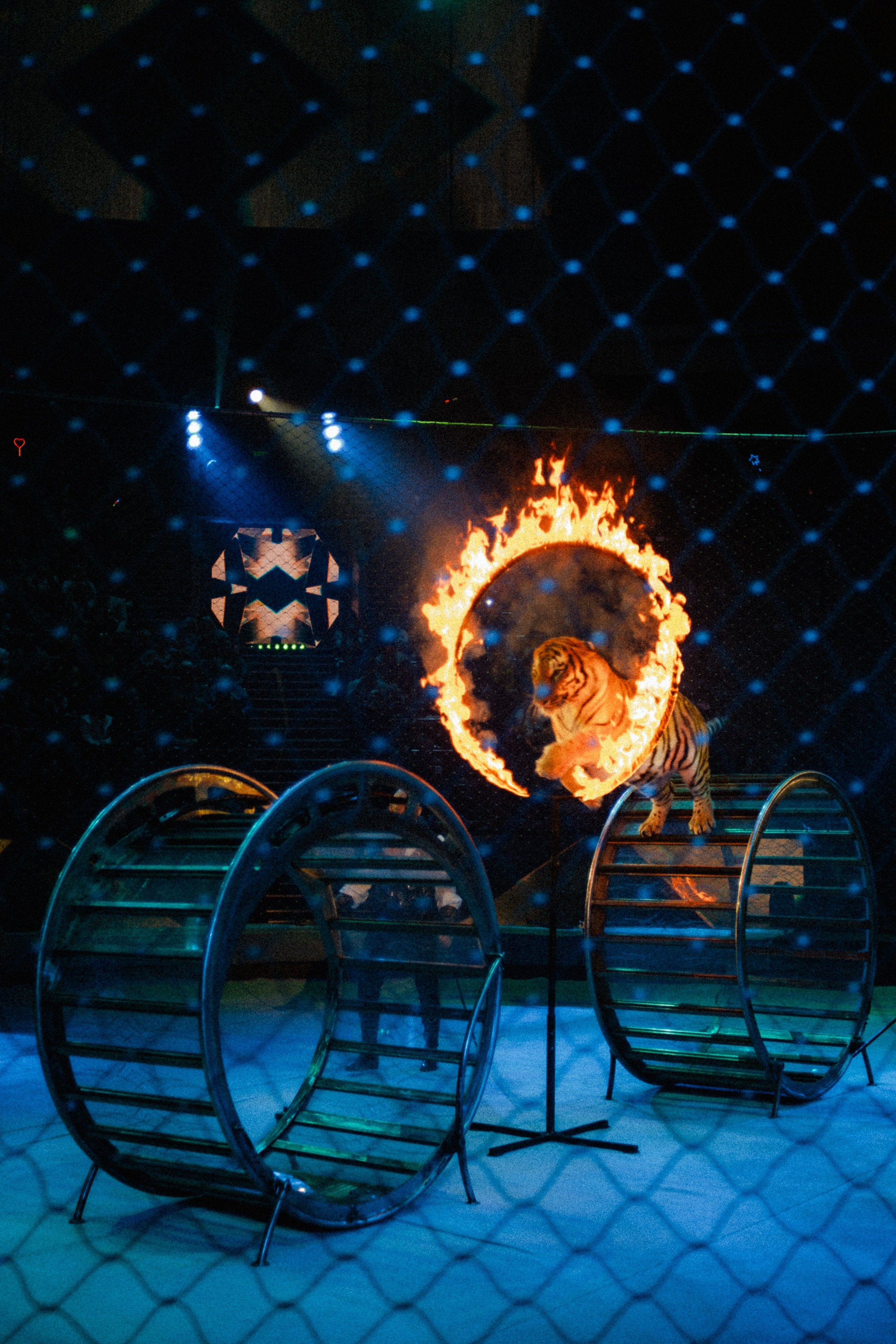 Артём Пылаев. Портфолио. Репортаж. Репортажный и портретный фотограф, в Москве Артём Пылаев