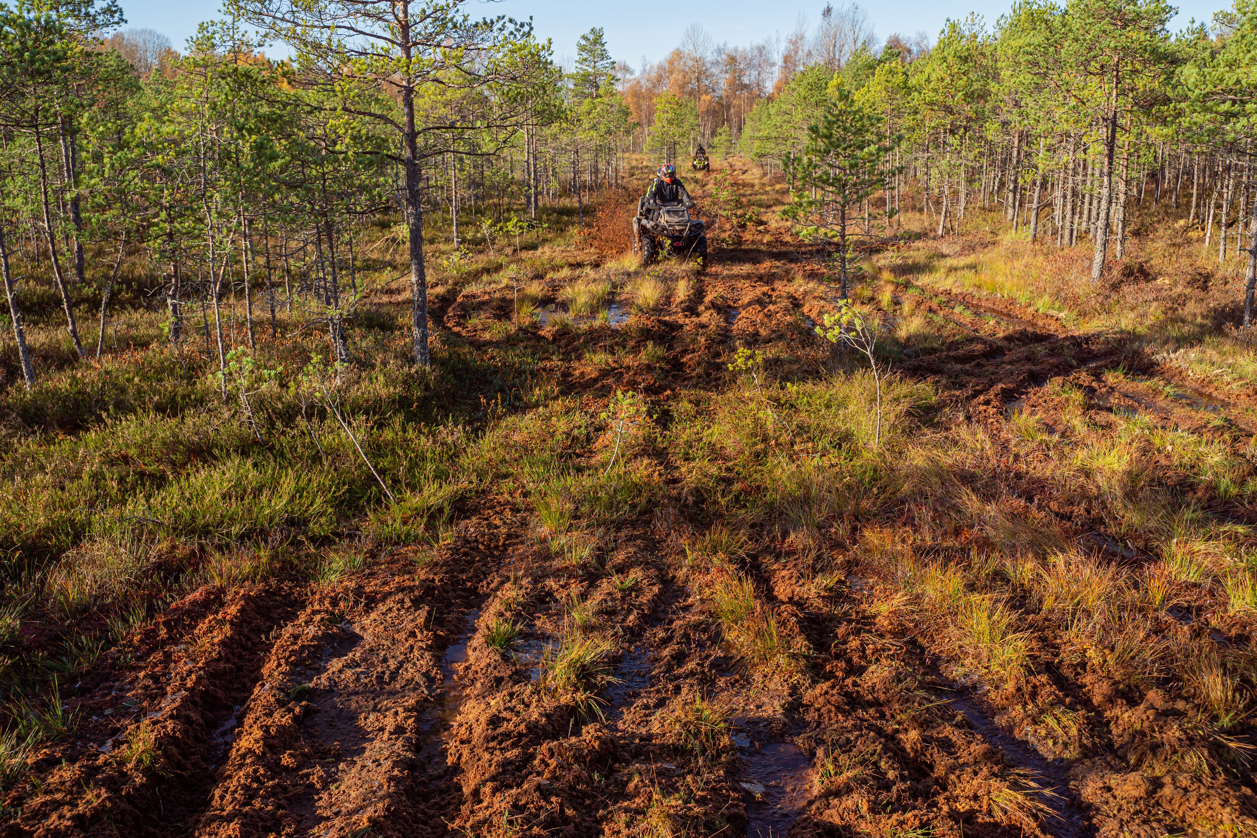 Спортивный репортажный фотограф Санкт-Петербург. Свадебный, семейный, портретный, репортажный фотограф в Санкт-Петербурге