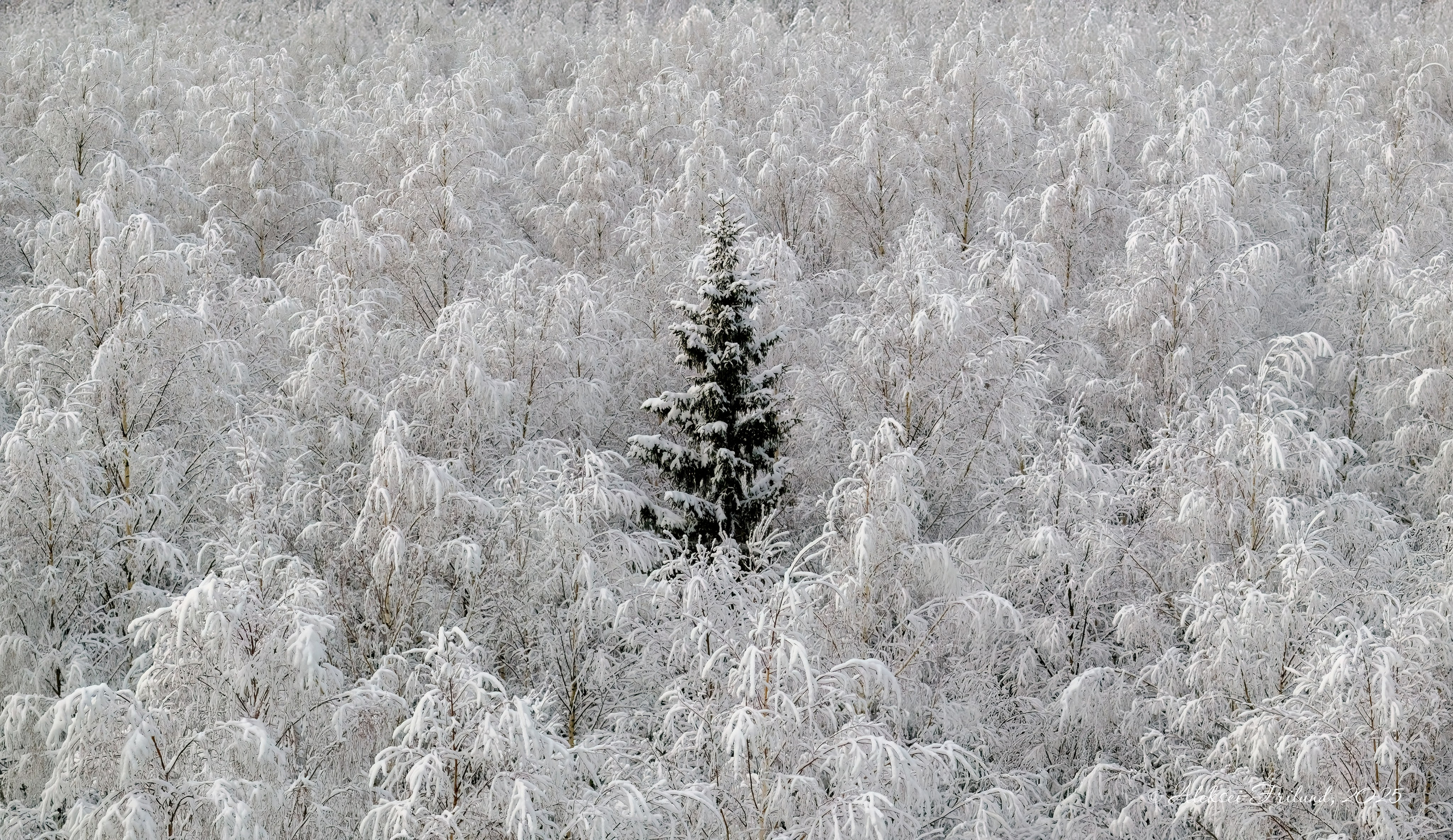 Природа Карелии. Аэросъемка. Фото и Видео в Карелии. Алексей Фрилунд