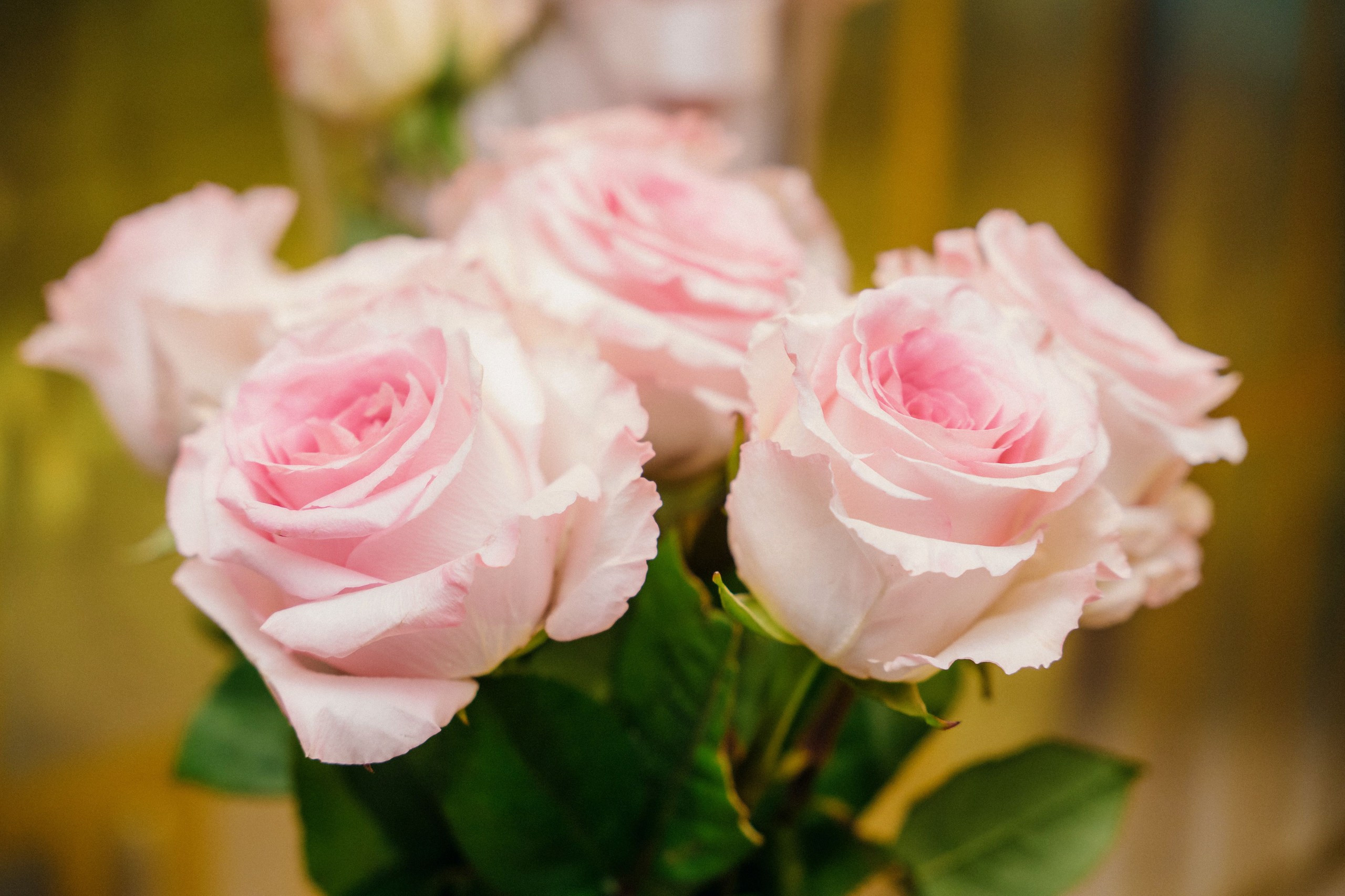 Частное мероприятие. Святослав Буньков | фотограф