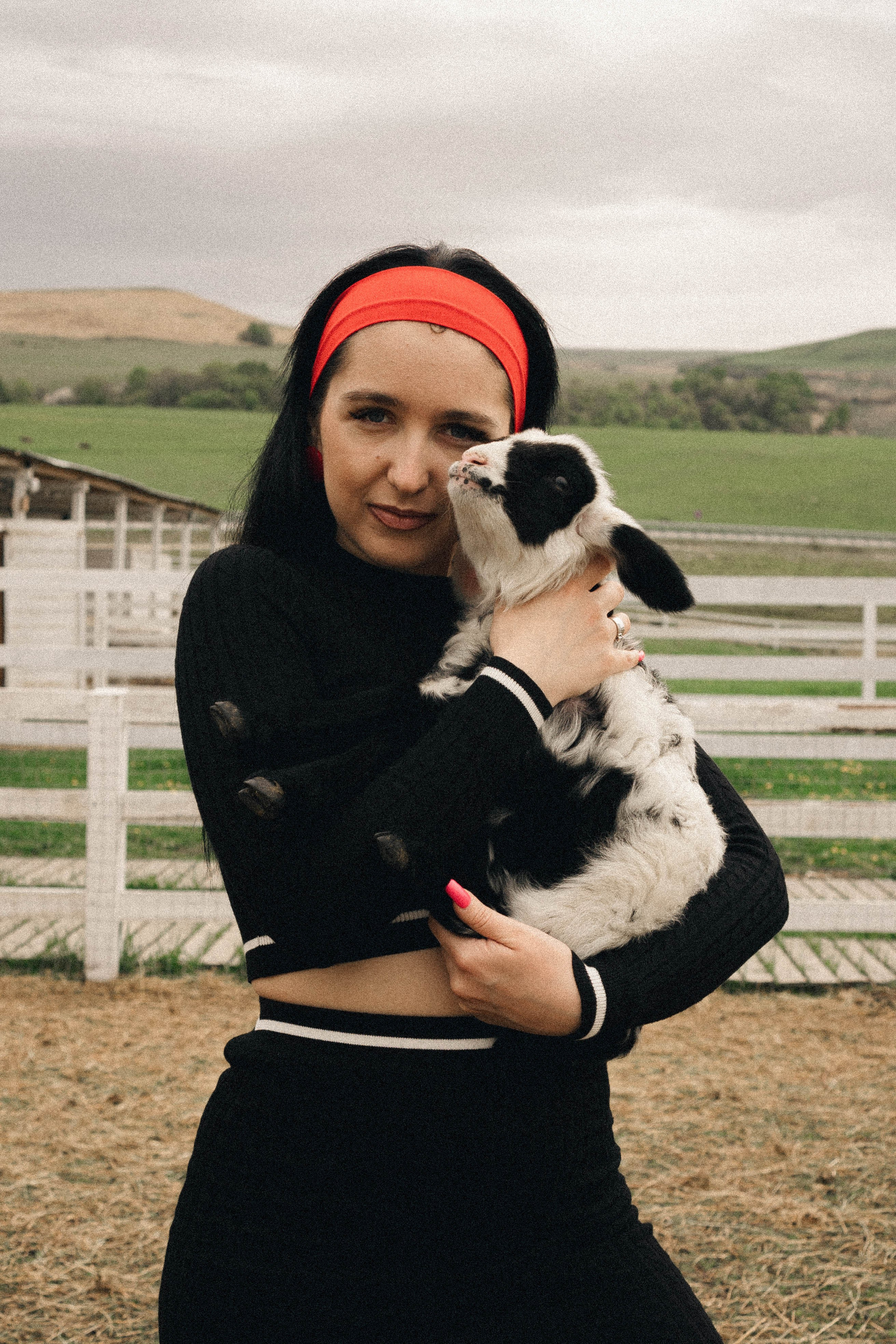 Ферма Альпак. Профессиональный фотограф, Санкт-Петербург — Виктория Богомолова