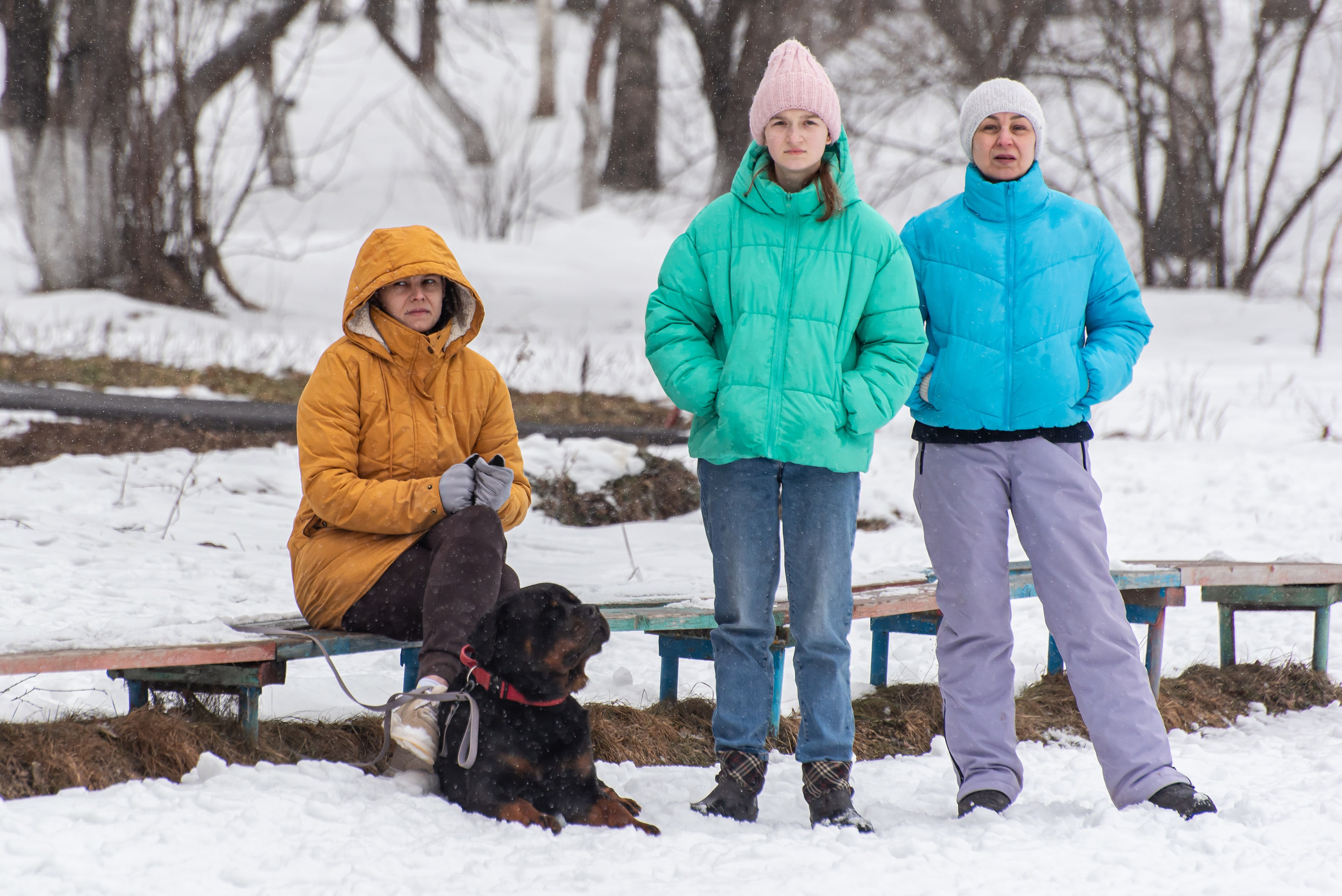 Фотосъёмка с собаками в Кинологическом лагере. Фотограф Макс Огурцов в Нижнем Новгороде