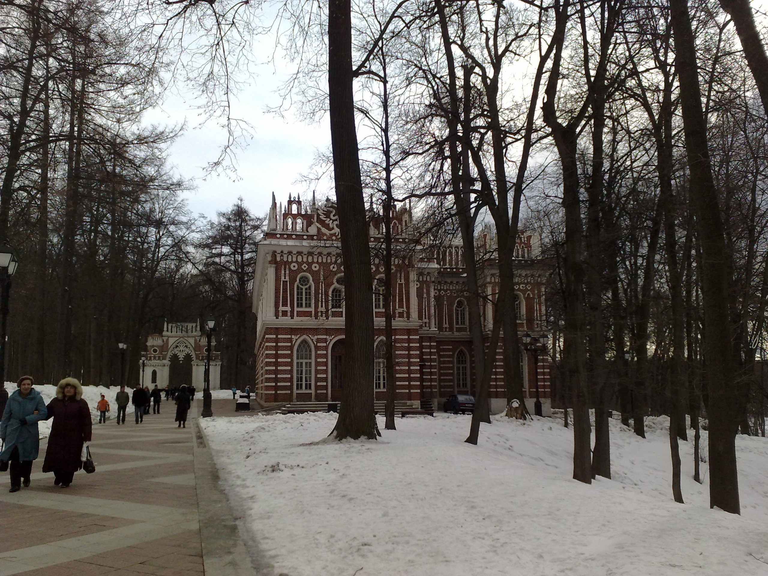 Царицино музей-усадьба. Питомник китайских хохлатых собак Poale Ell: купить щенка в питомнике