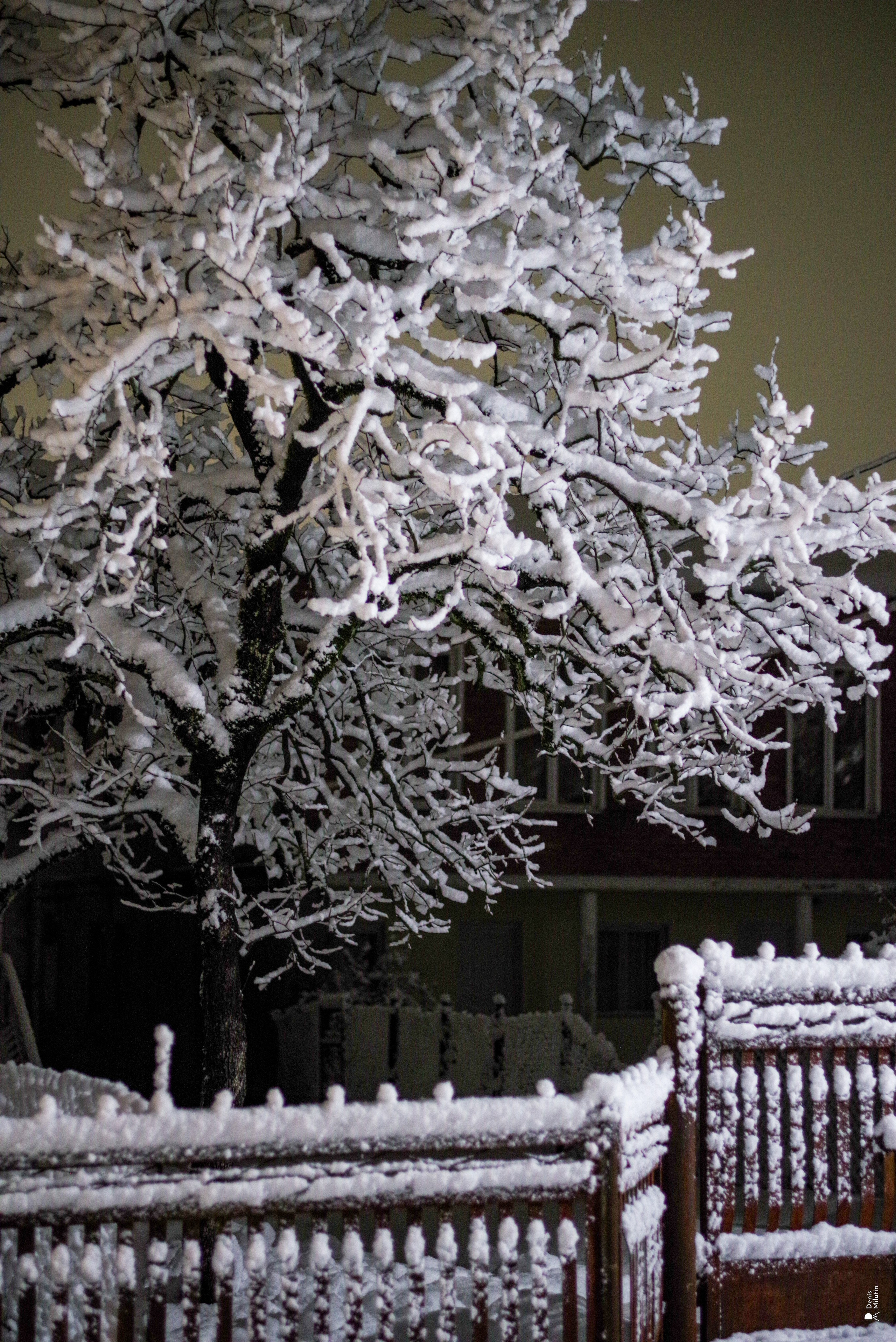 Ночь в Менджи. Портретный фотограф Денис Милютин