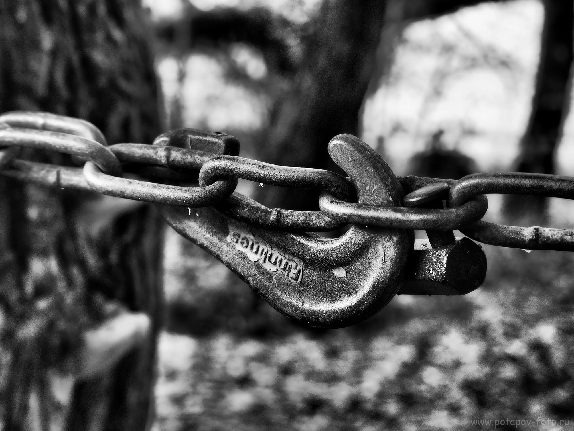 Переславль Залесский и его окрестности. Часть I (2019–2021 гг.). Московский фотограф Дмитрий Потапов