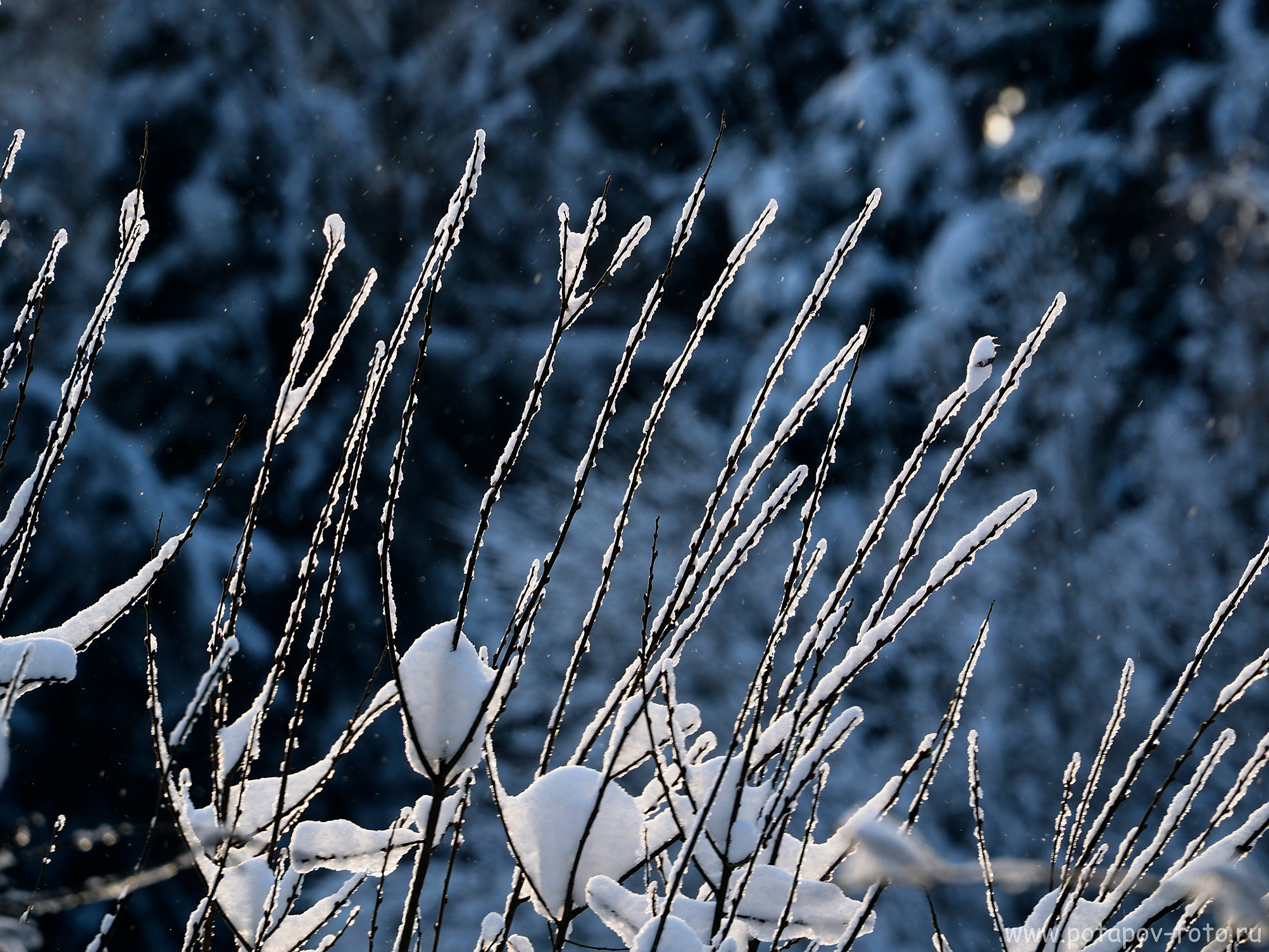 Хотьково — Сергиев Посад — Переславль Залесский. Декабрь 2021 года. Московский фотограф Дмитрий Потапов