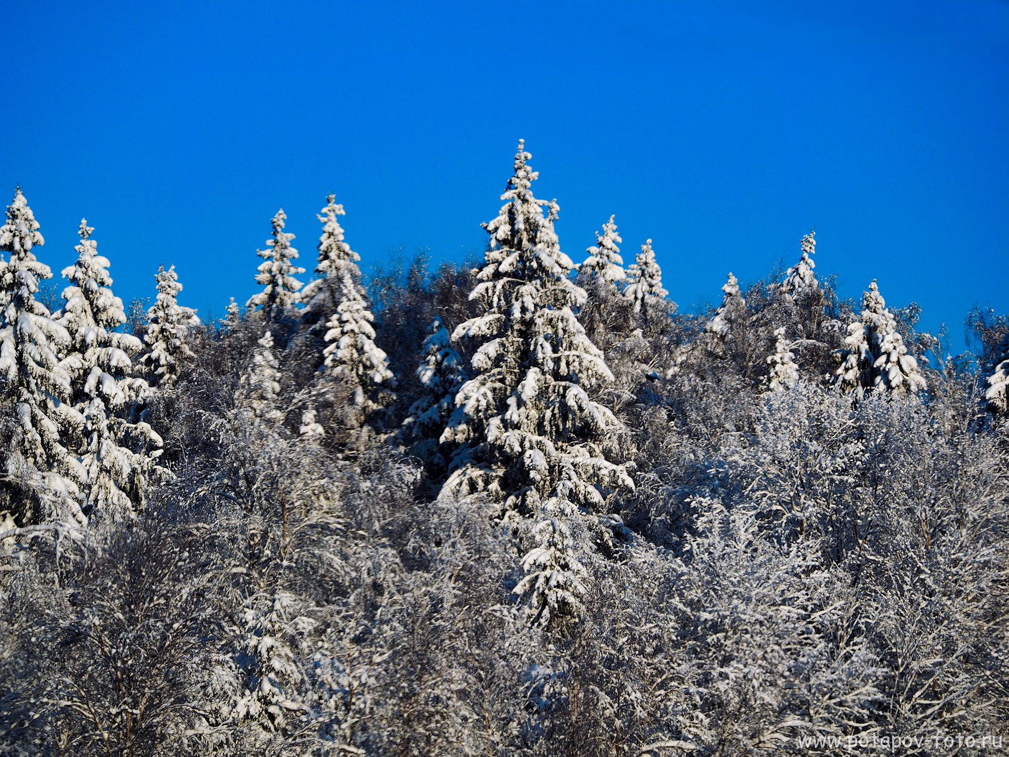 Хотьково — Сергиев Посад — Переславль Залесский. Декабрь 2021 года. Московский фотограф Дмитрий Потапов