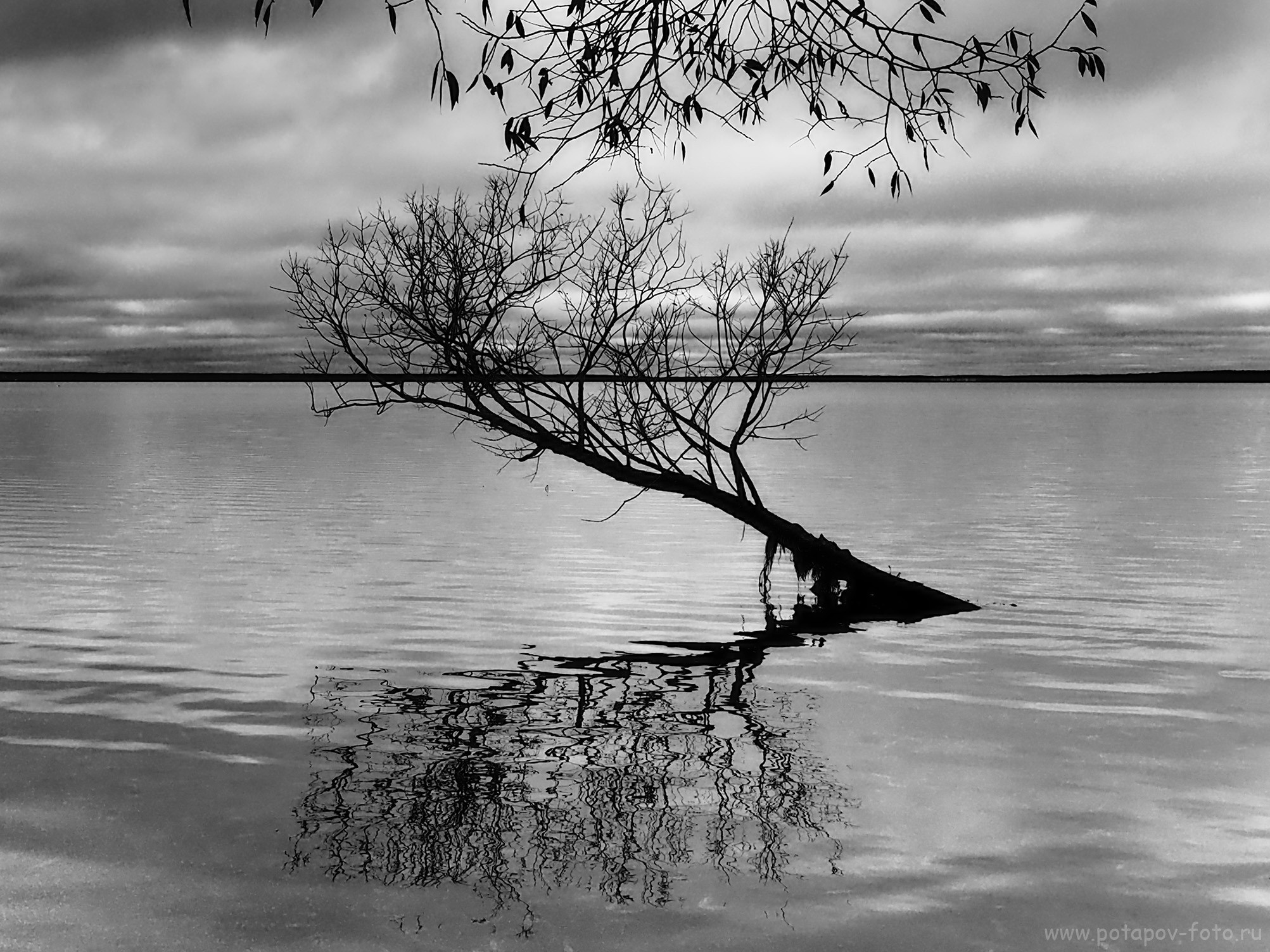 Переславль Залесский и его окрестности. Часть I (2019–2021 гг.). Московский фотограф Дмитрий Потапов