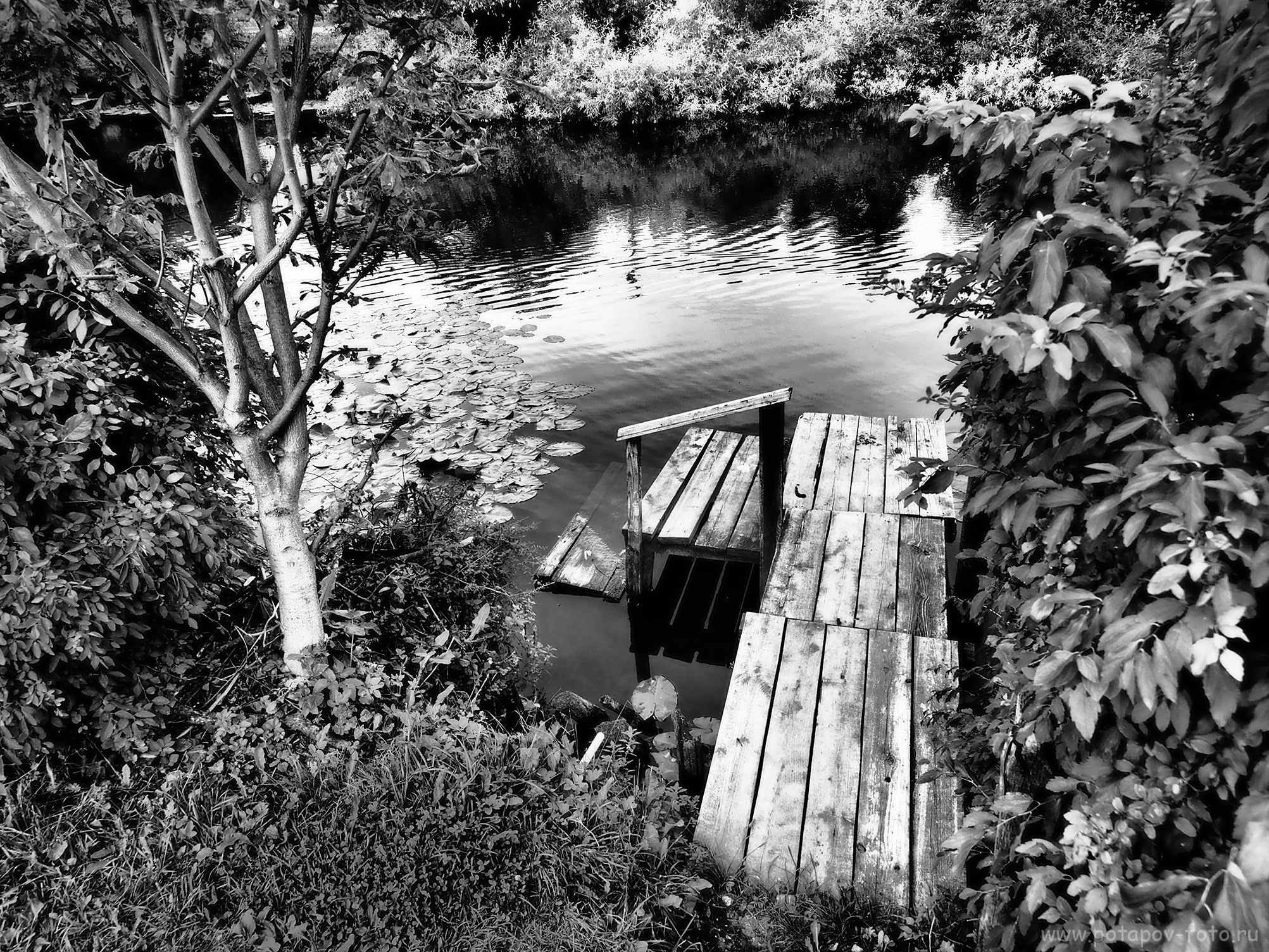 Переславль Залесский и его окрестности. Часть I (2019–2021 гг.). Московский фотограф Дмитрий Потапов