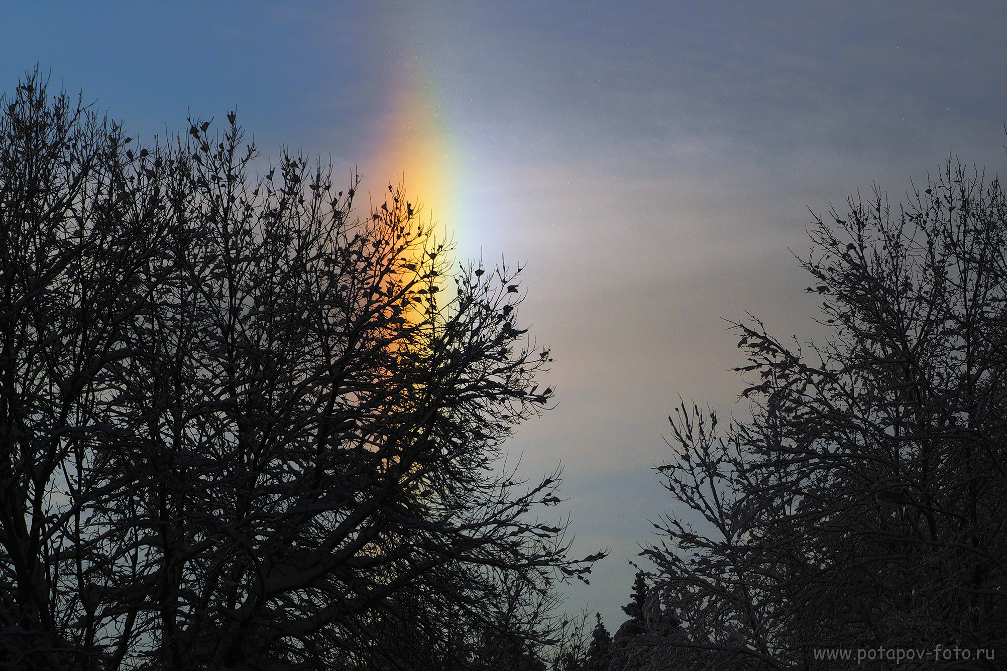 Хотьково — Сергиев Посад — Переславль Залесский. Декабрь 2021 года. Московский фотограф Дмитрий Потапов