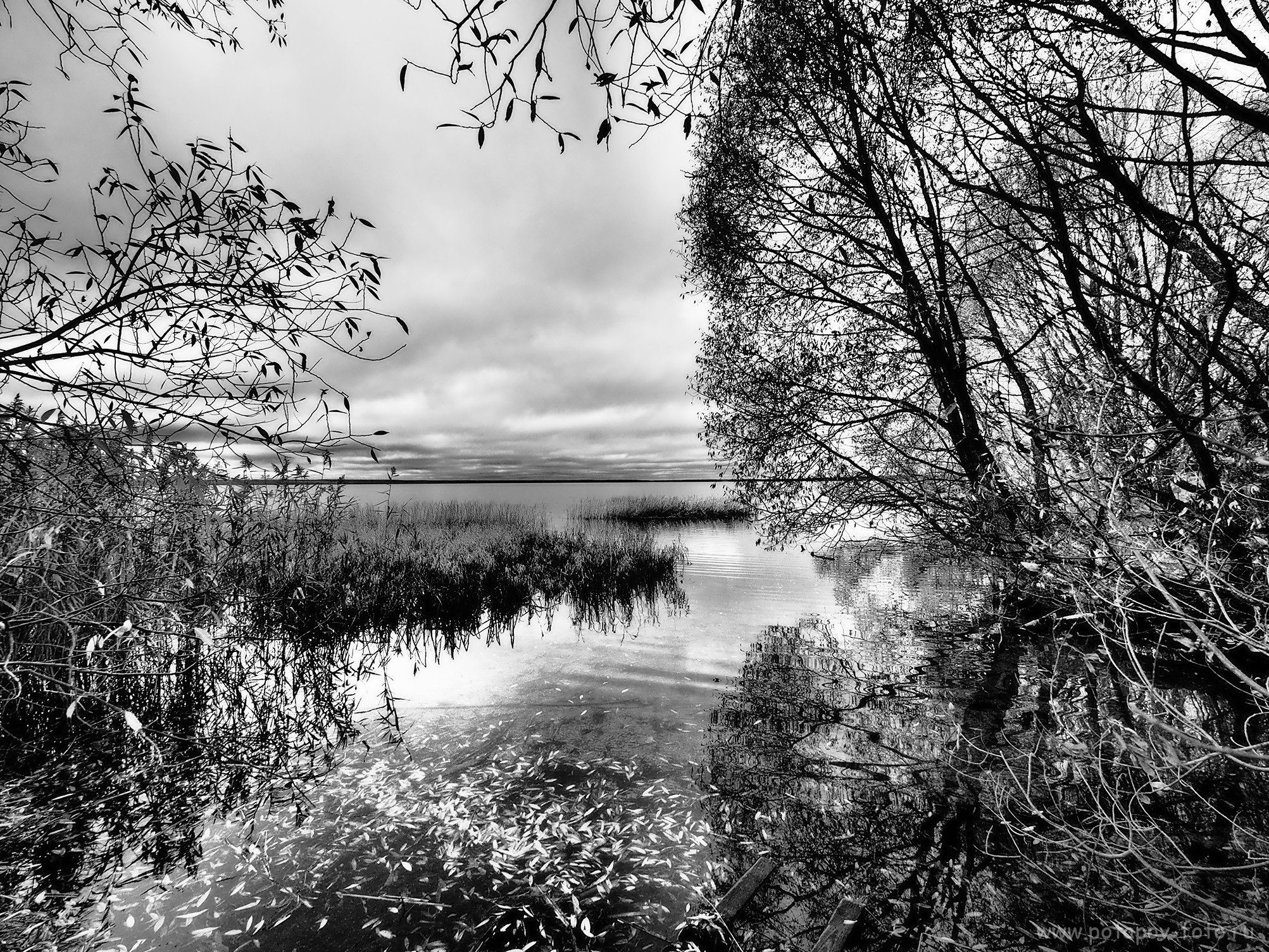 Переславль Залесский и его окрестности. Часть I (2019–2021 гг.). Московский фотограф Дмитрий Потапов
